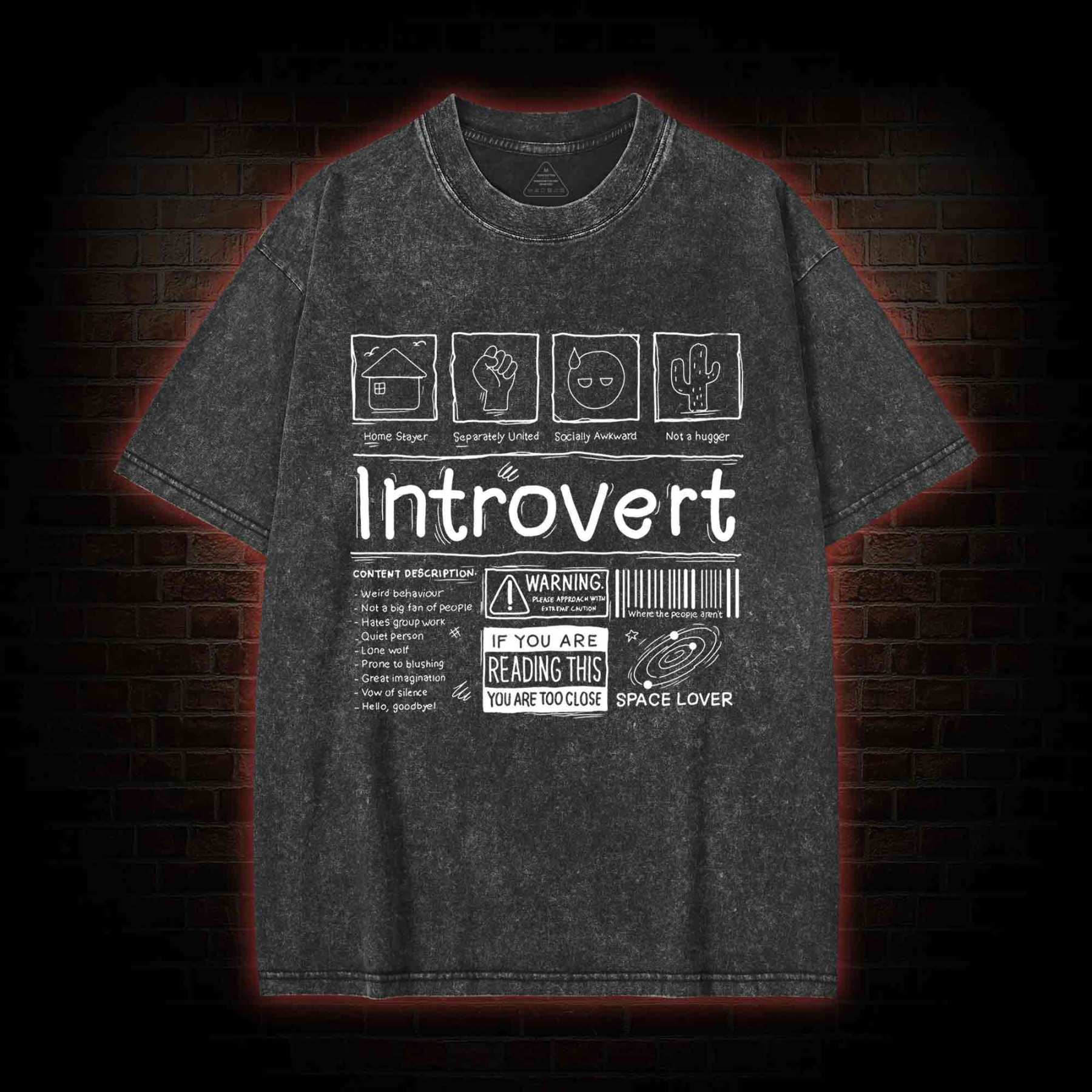 Introvert Washed T-shirt