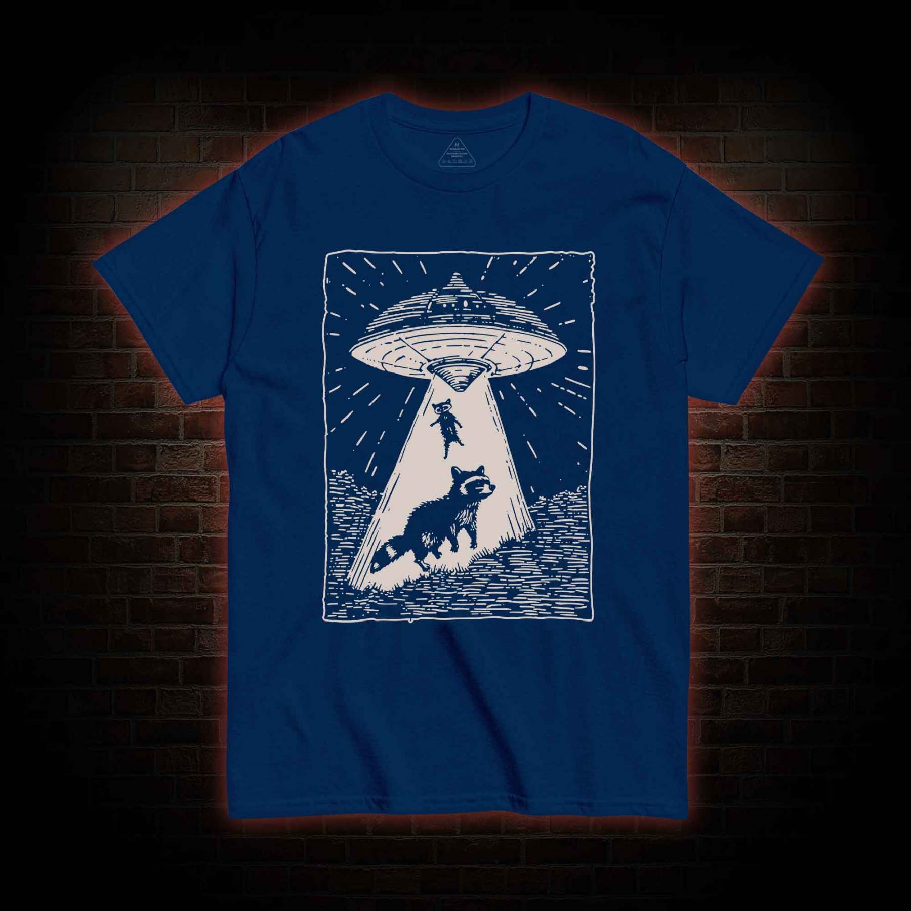 UFO and Raccoons T-shirt 