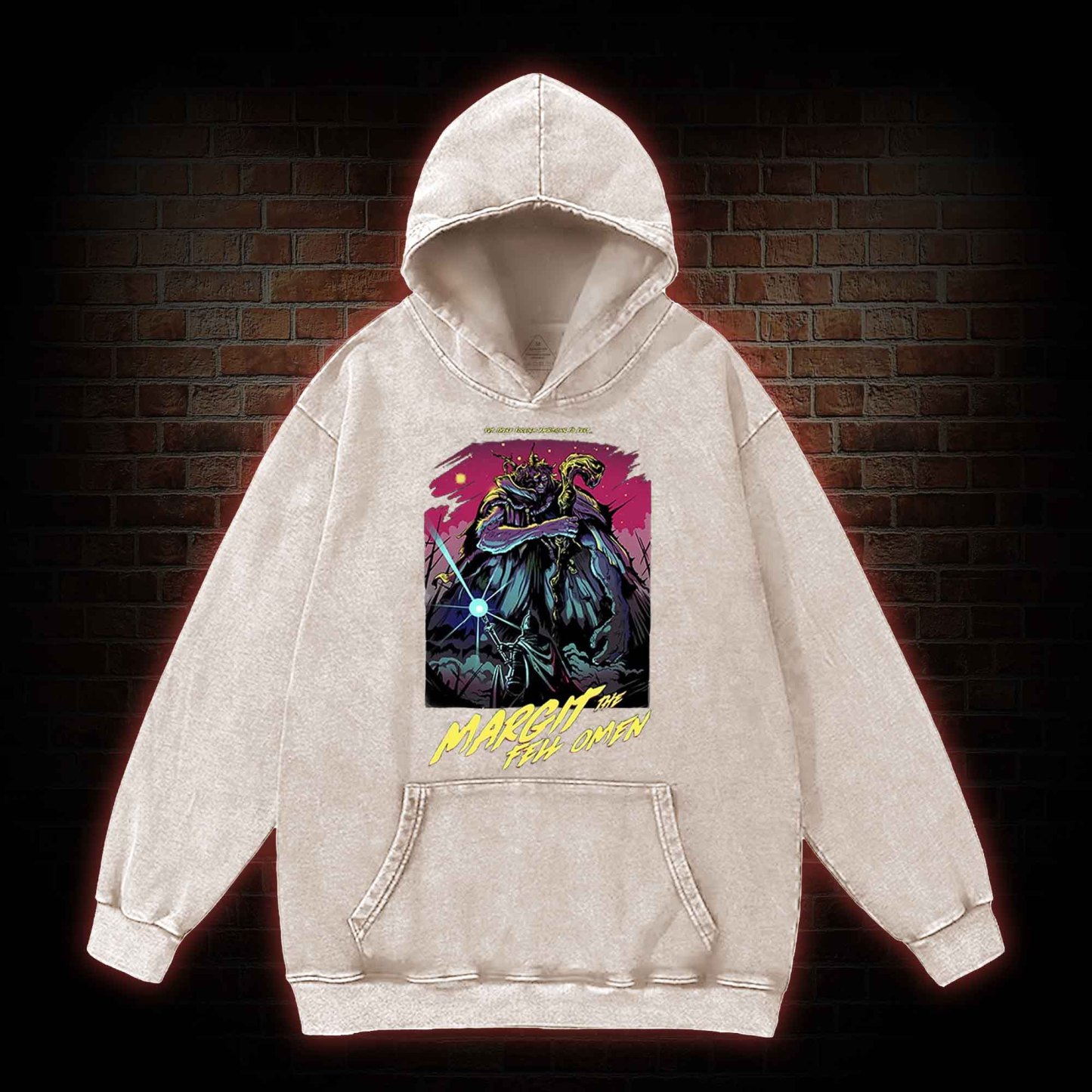 Put These Foolish Ambitions to Rest Washed Hoodie