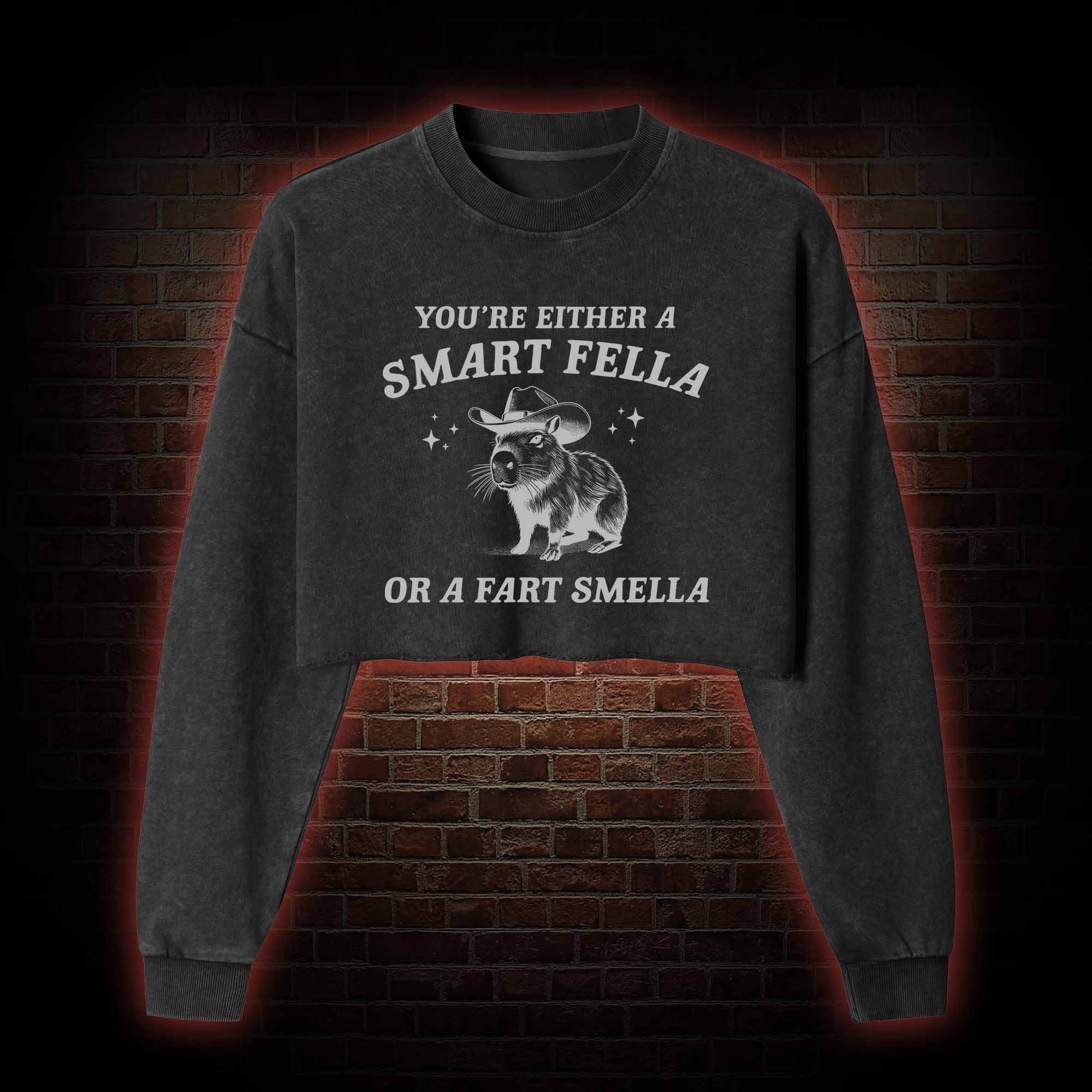 Smart Fella Or Fart Smella Washed Cropped Sweatshirts