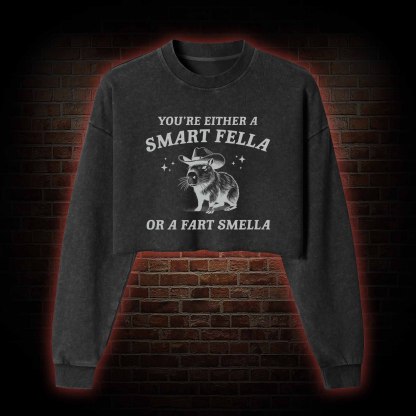 Smart Fella Or Fart Smella Washed Cropped Sweatshirts