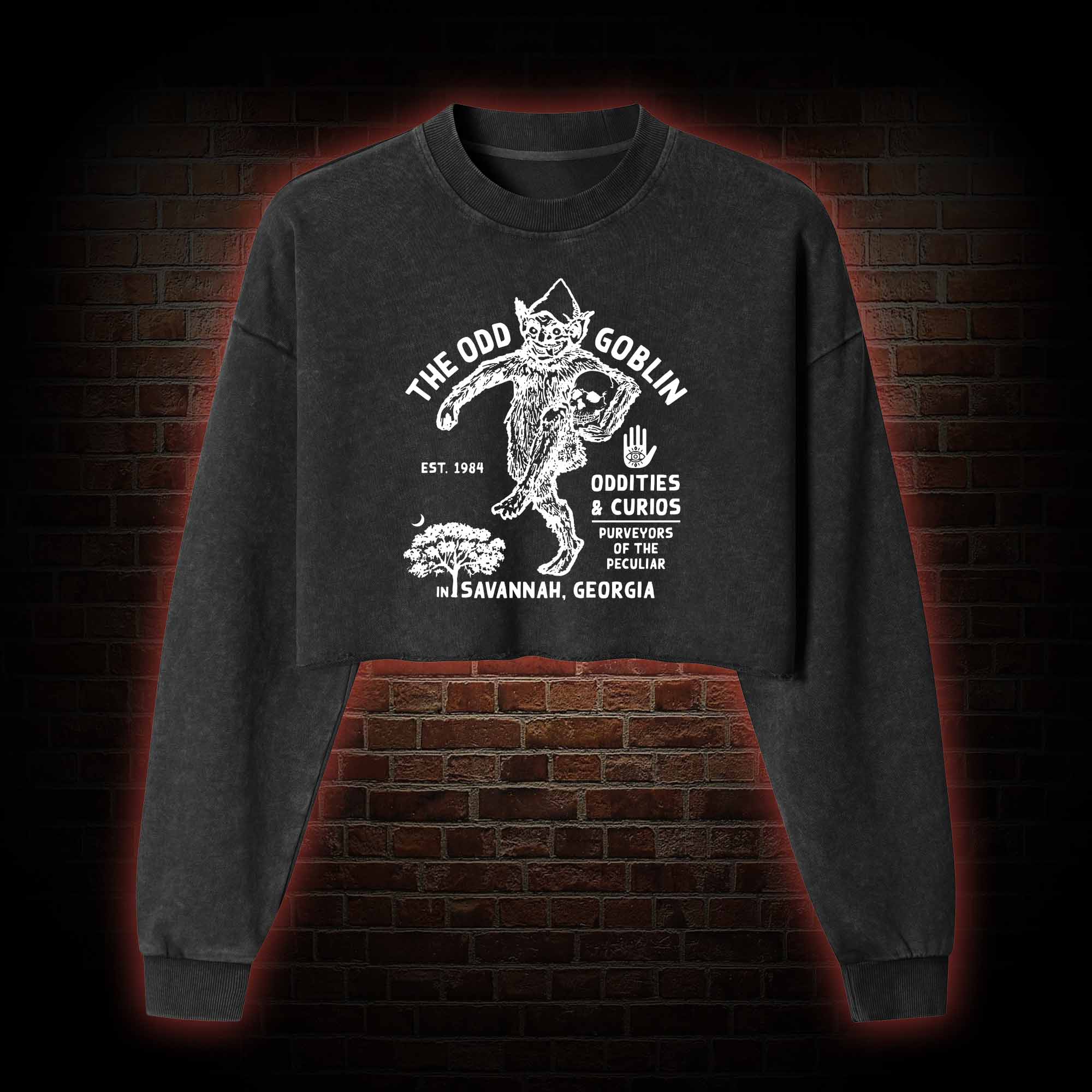 The Odd Goblin Washed Cropped Sweatshirts