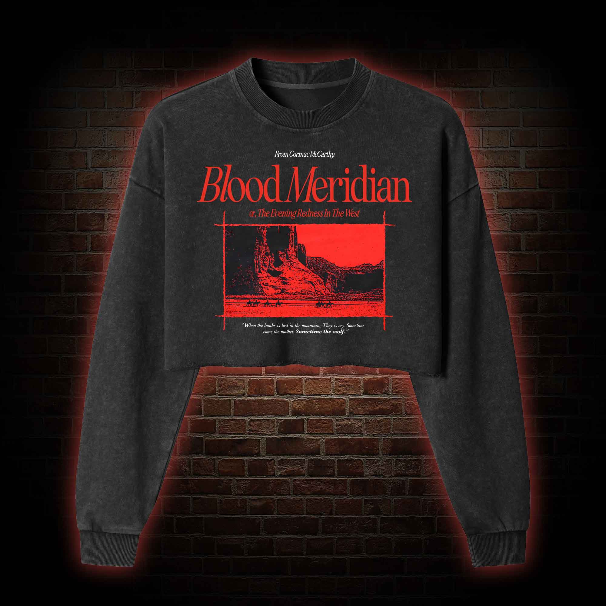 Blood Meridian Washed Cropped Sweatshirts