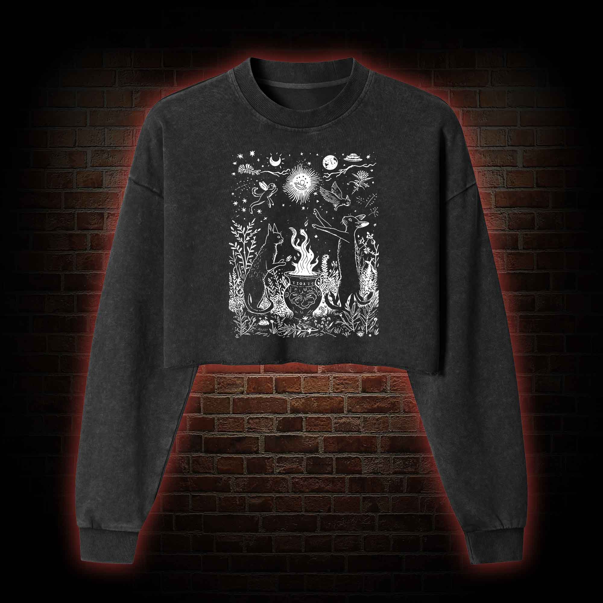 Celestial Cat Washed Cropped Sweatshirts