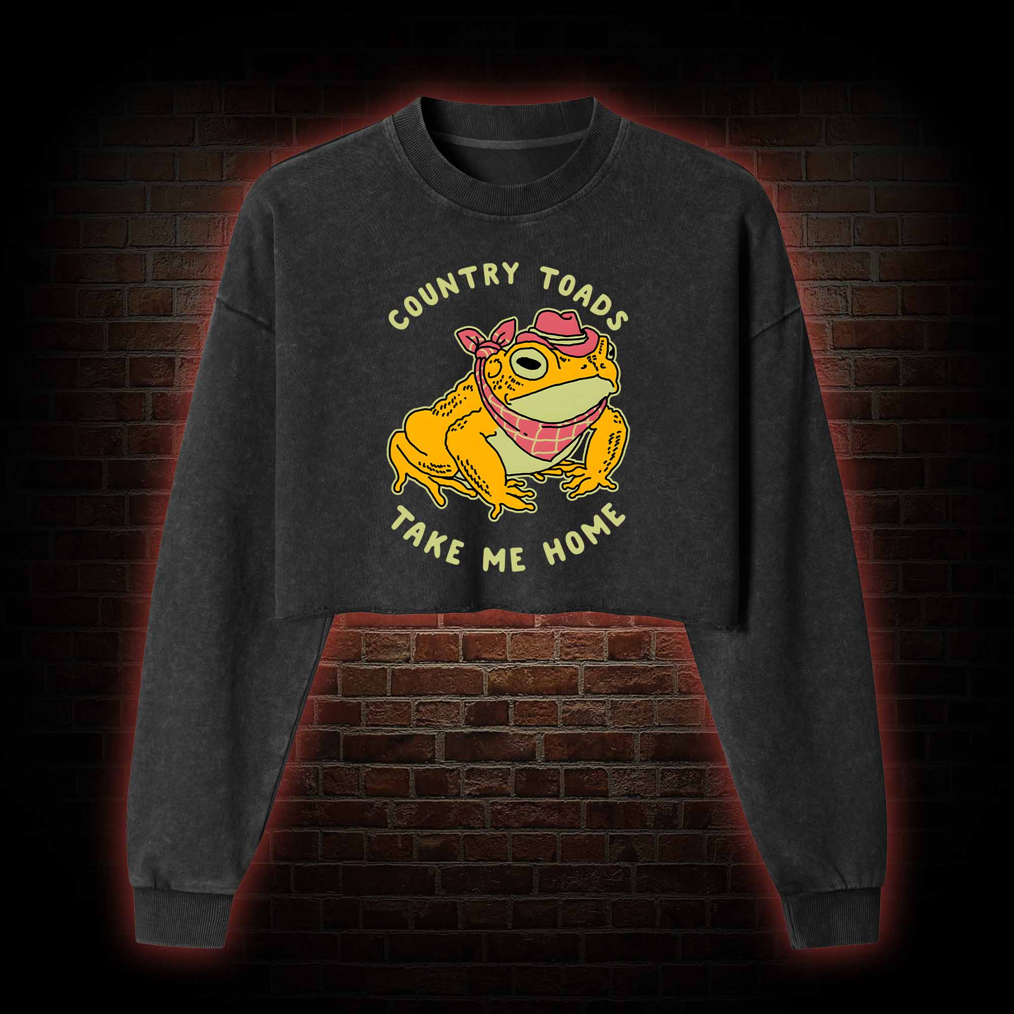 Country Toads Take Me Home Washed Cropped Sweatshirts