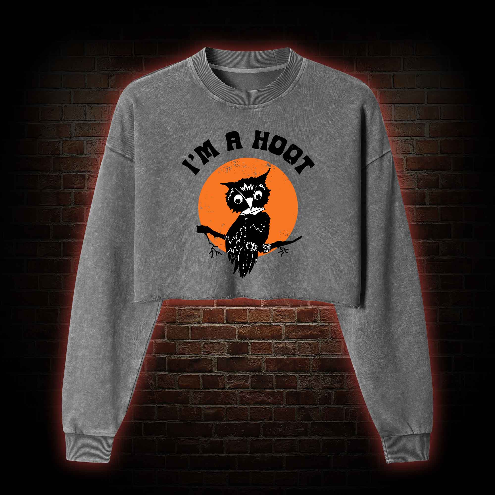 I'm A Hoot Washed Cropped Sweatshirts