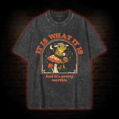 It Is What It Is Washed T-shirt