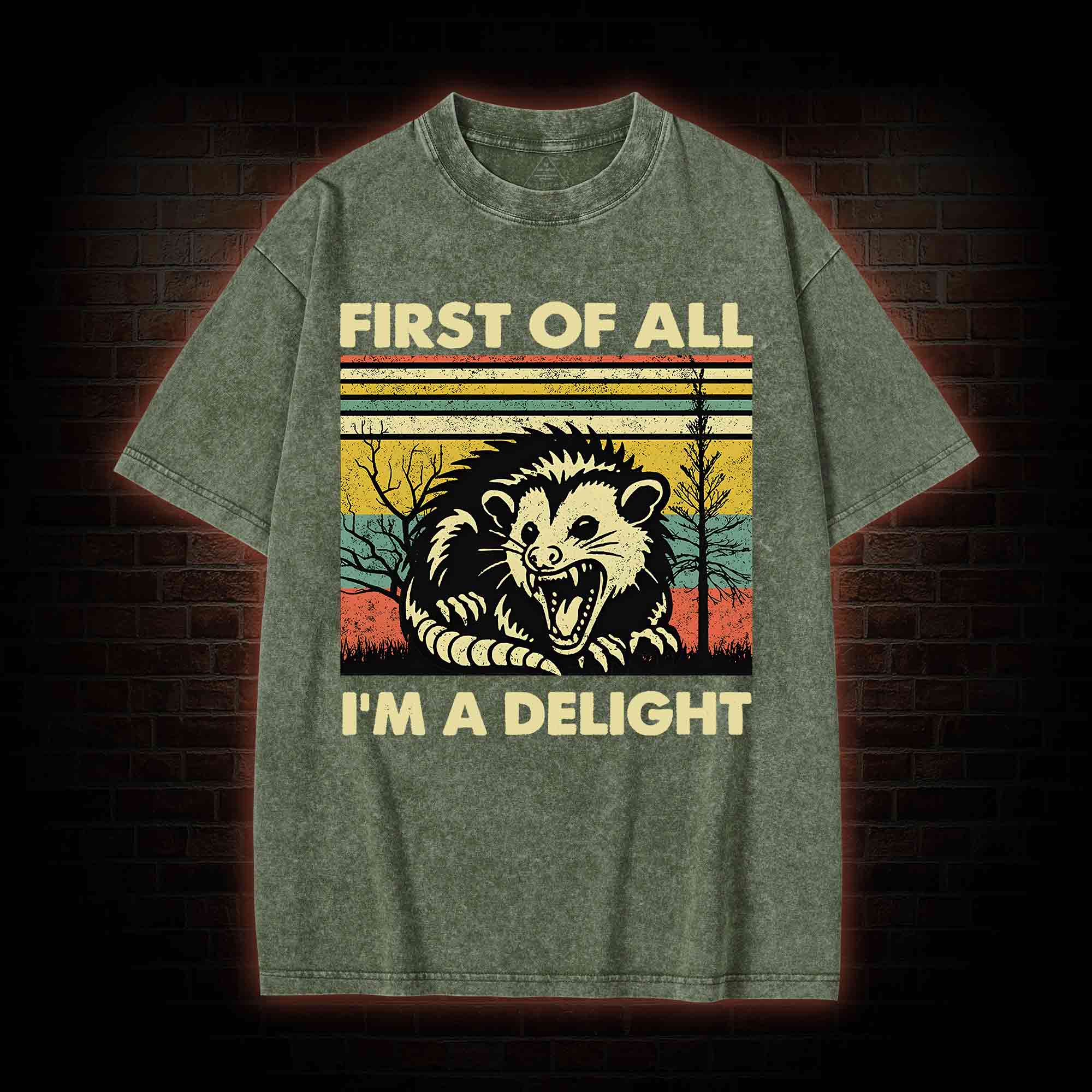 I'm A Delight Washed T-shirt