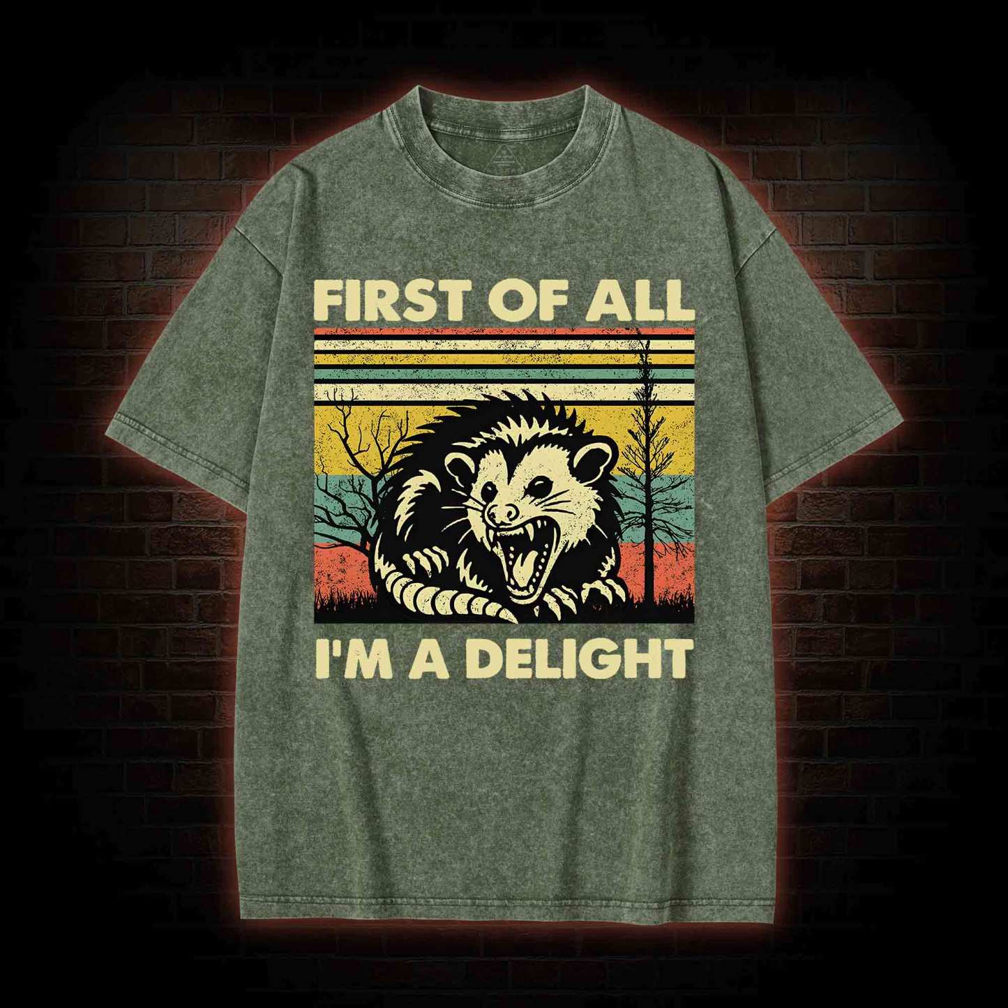 I'm A Delight Washed T-shirt