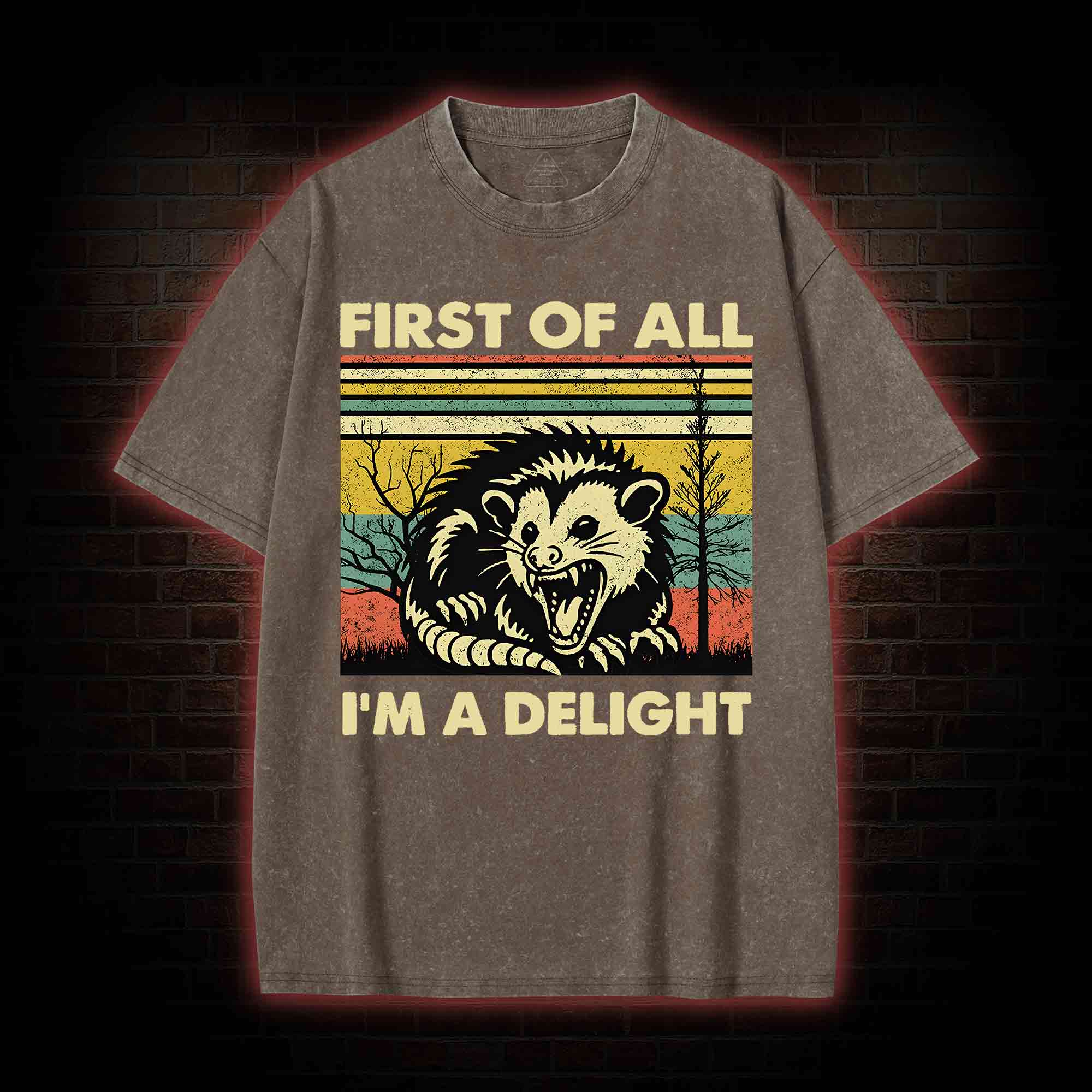 I'm A Delight Washed T-shirt