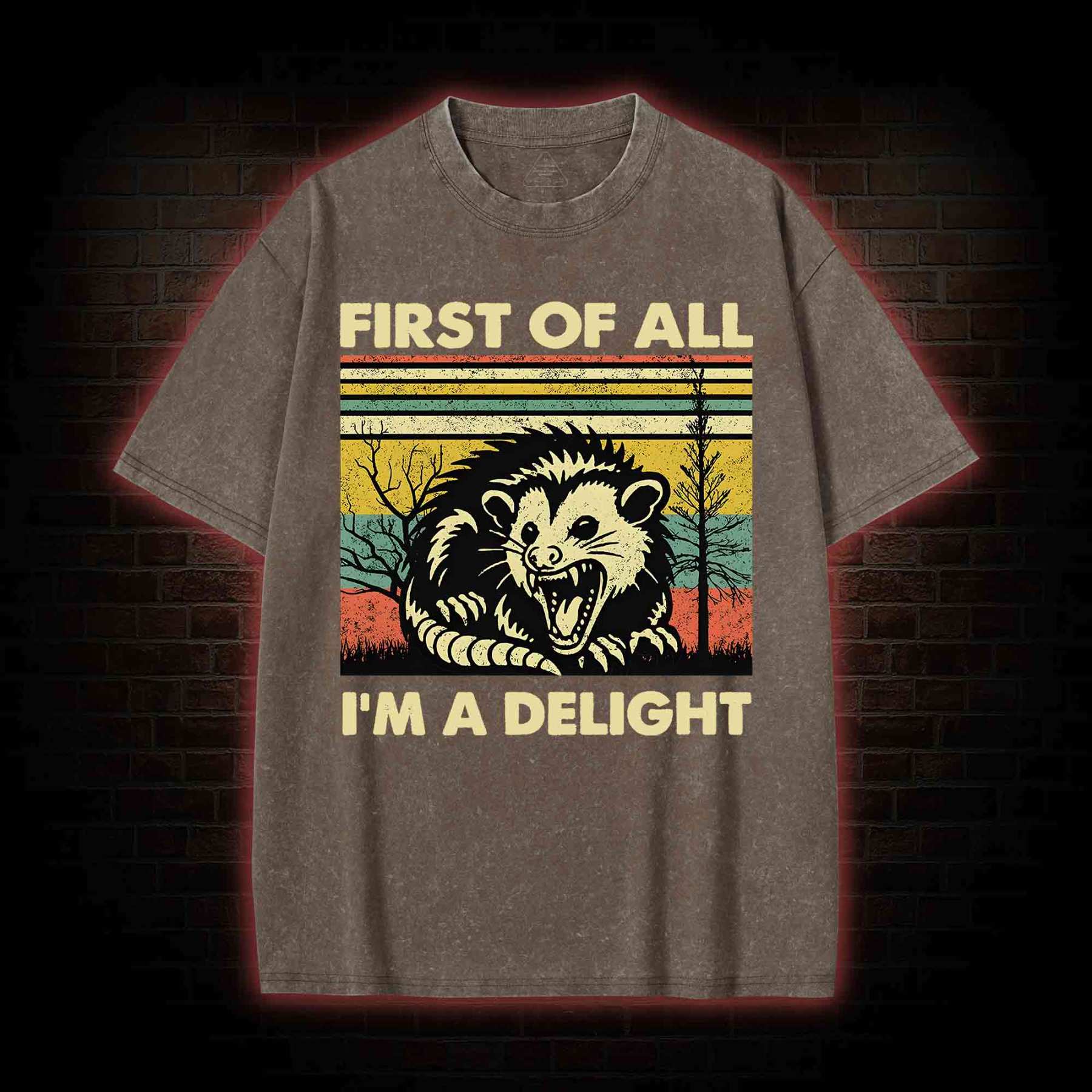 I'm A Delight Washed T-shirt