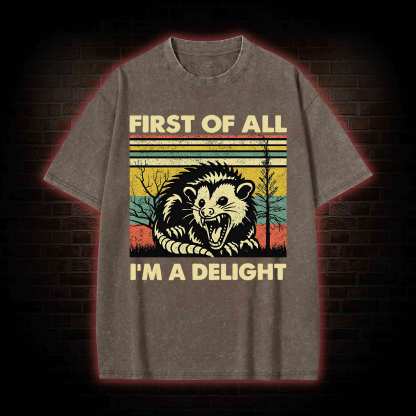 I'm A Delight Washed T-shirt