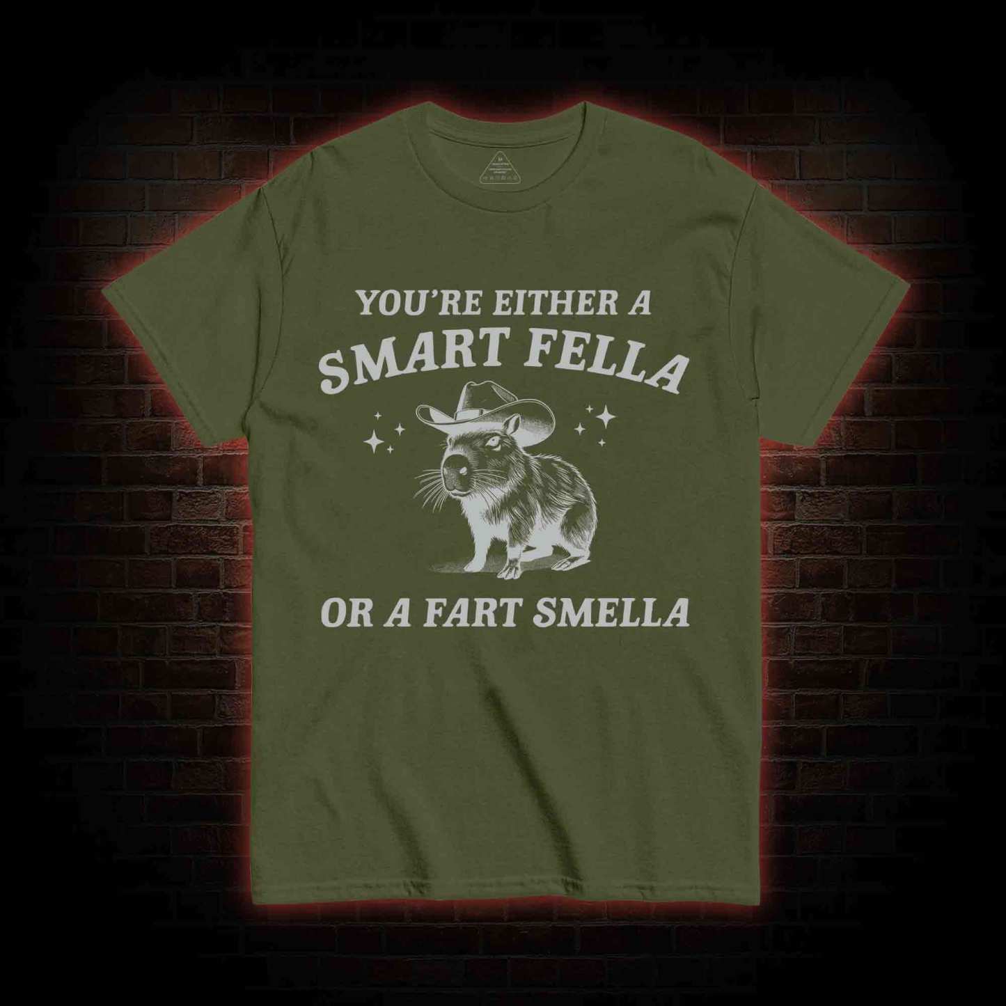 Smart Fella Or Fart Smella T-shirt