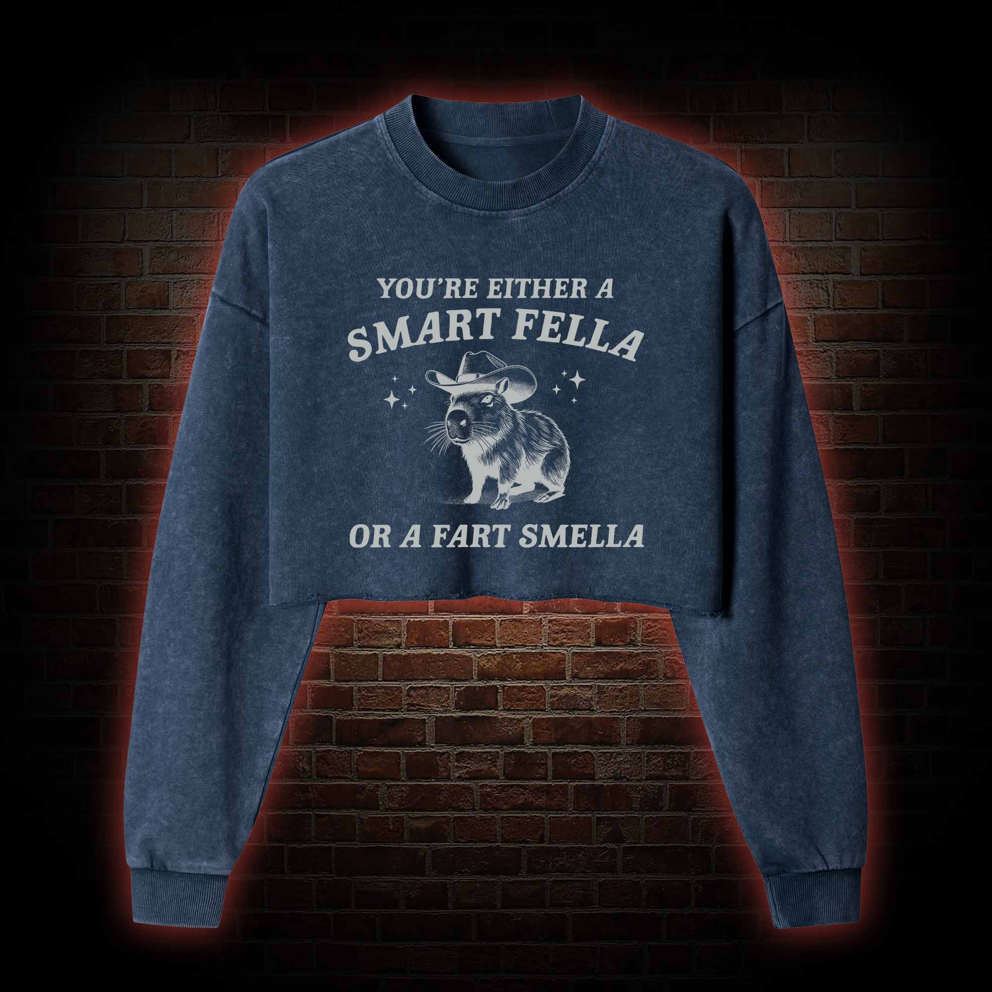 Smart Fella Or Fart Smella Washed Cropped Sweatshirts