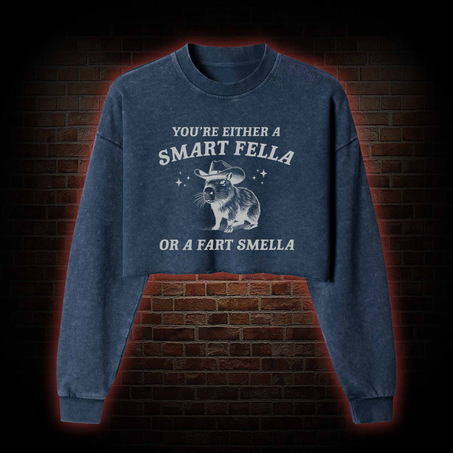 Smart Fella Or Fart Smella Washed Cropped Sweatshirts