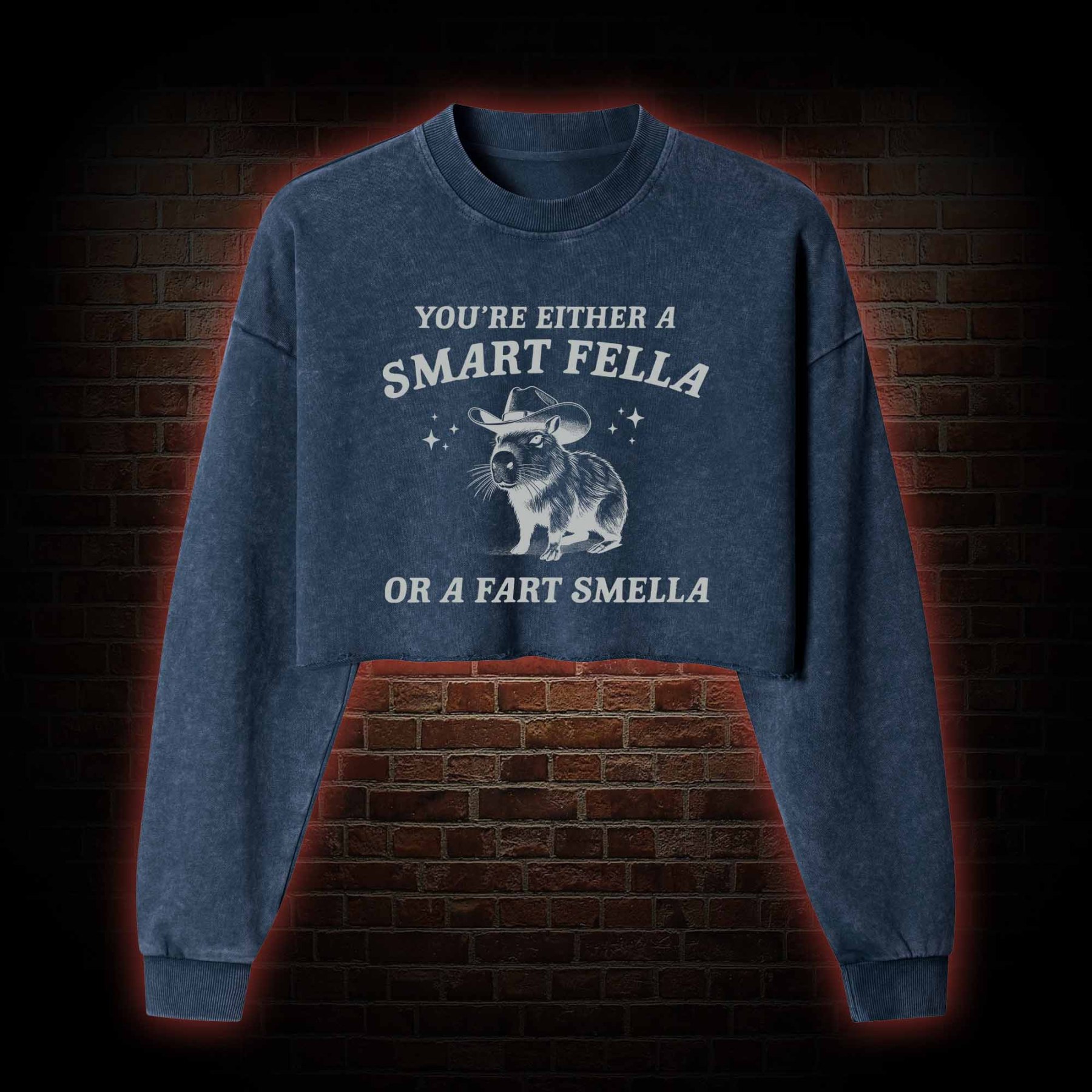 Smart Fella Or Fart Smella Washed Cropped Sweatshirts