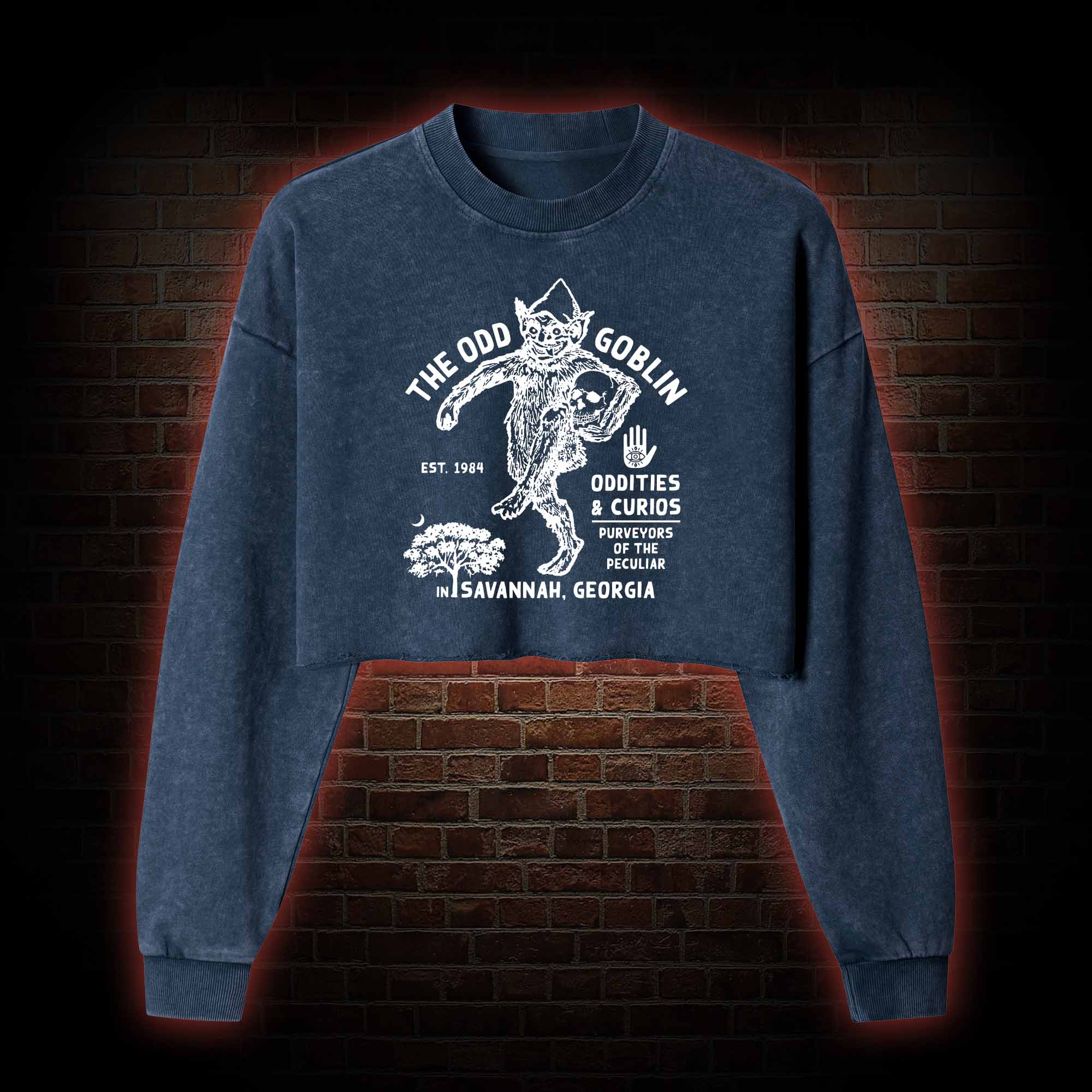 The Odd Goblin Washed Cropped Sweatshirts