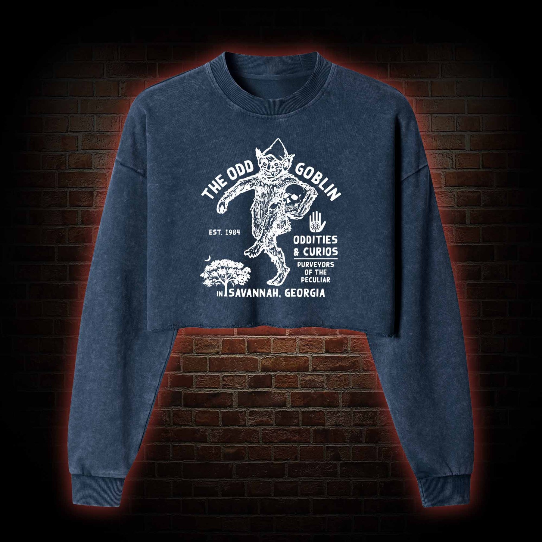 The Odd Goblin Washed Cropped Sweatshirts