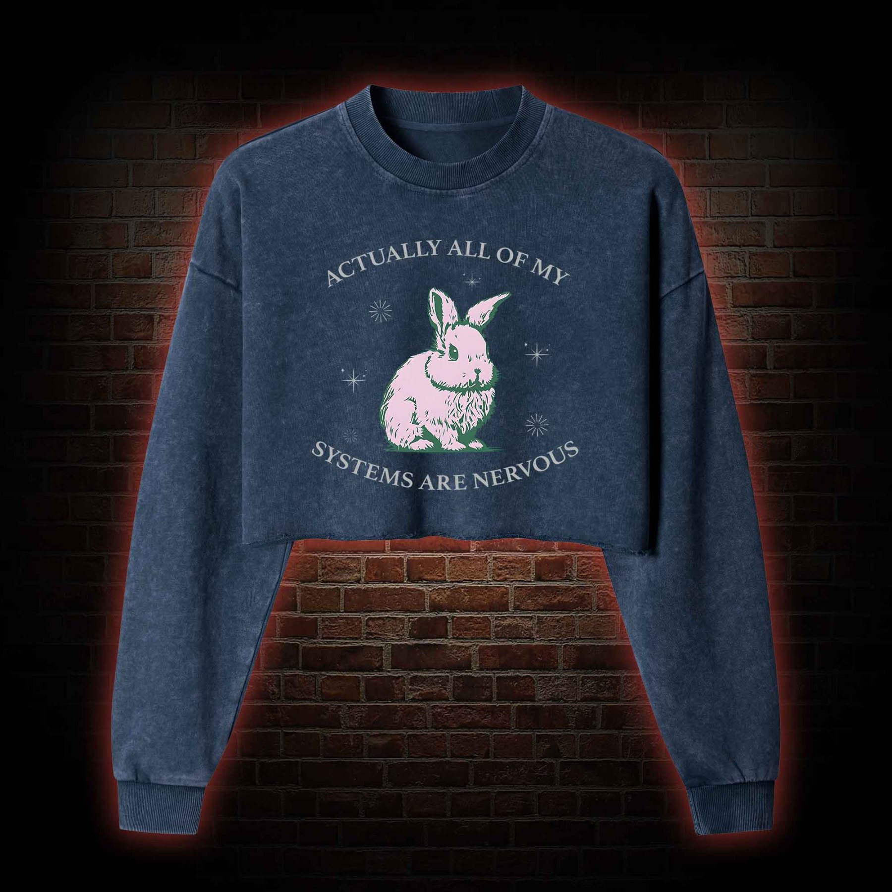 Actually All Of My Systems Are Nervous Washed Cropped Sweatshirts