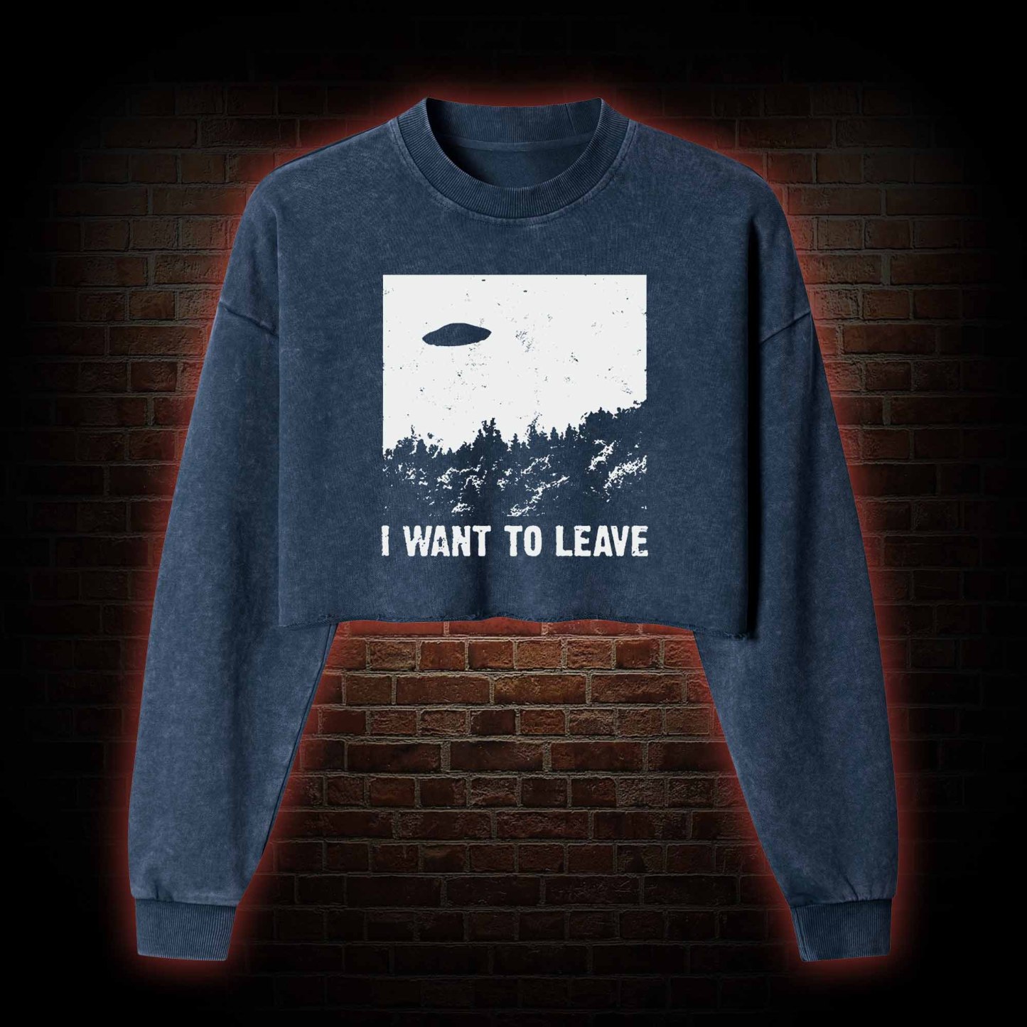I Want To Leave Washed Cropped Sweatshirts