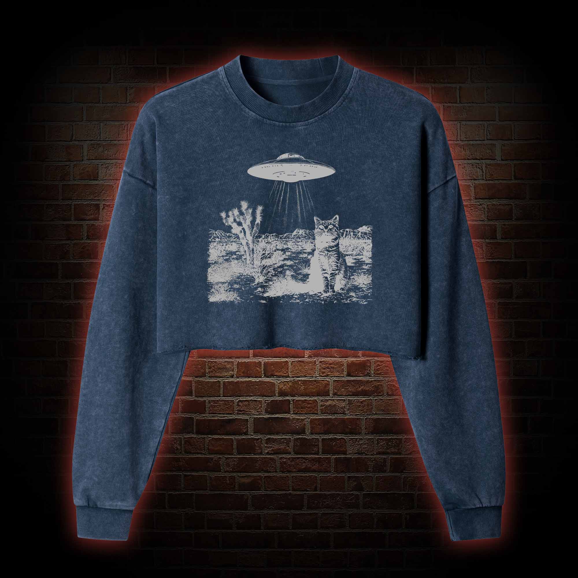 Ufo Cowboy Cat Washed Cropped Sweatshirts