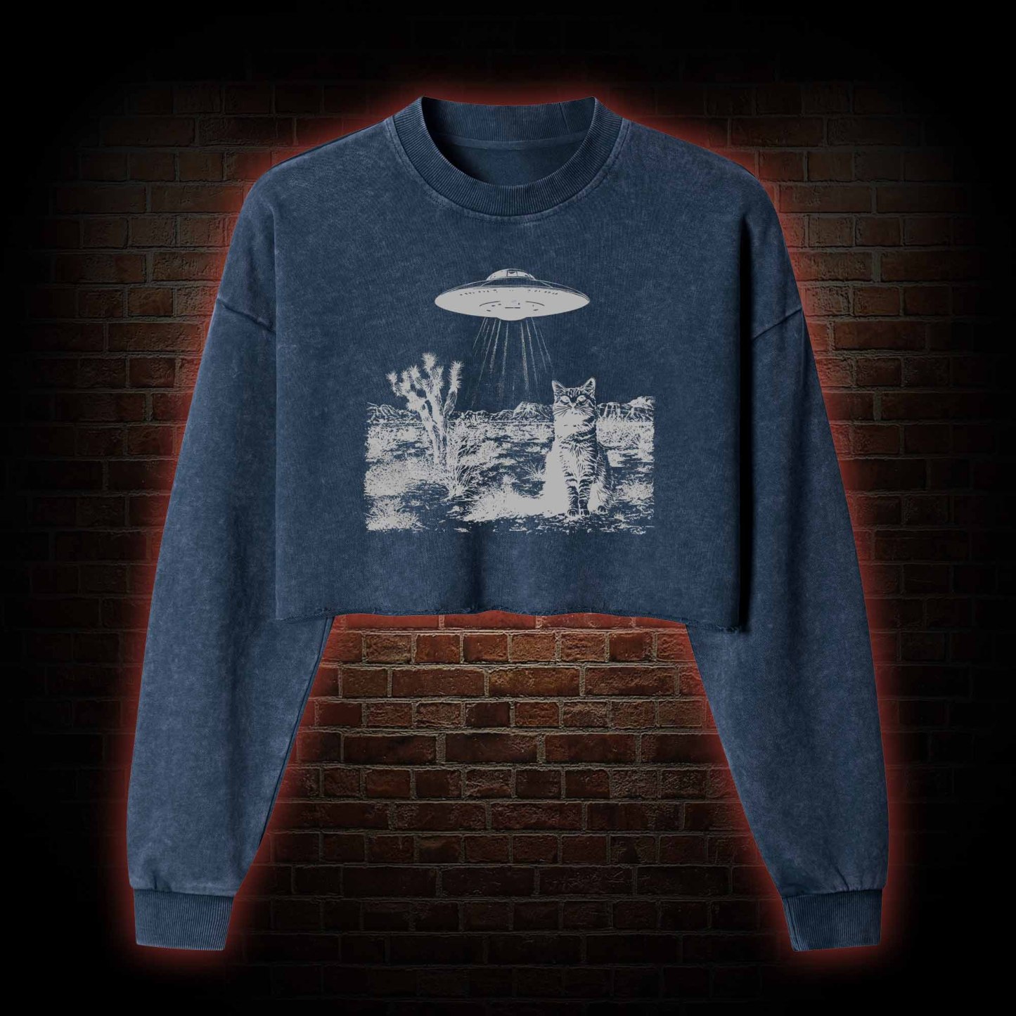 Ufo Cowboy Cat Washed Cropped Sweatshirts