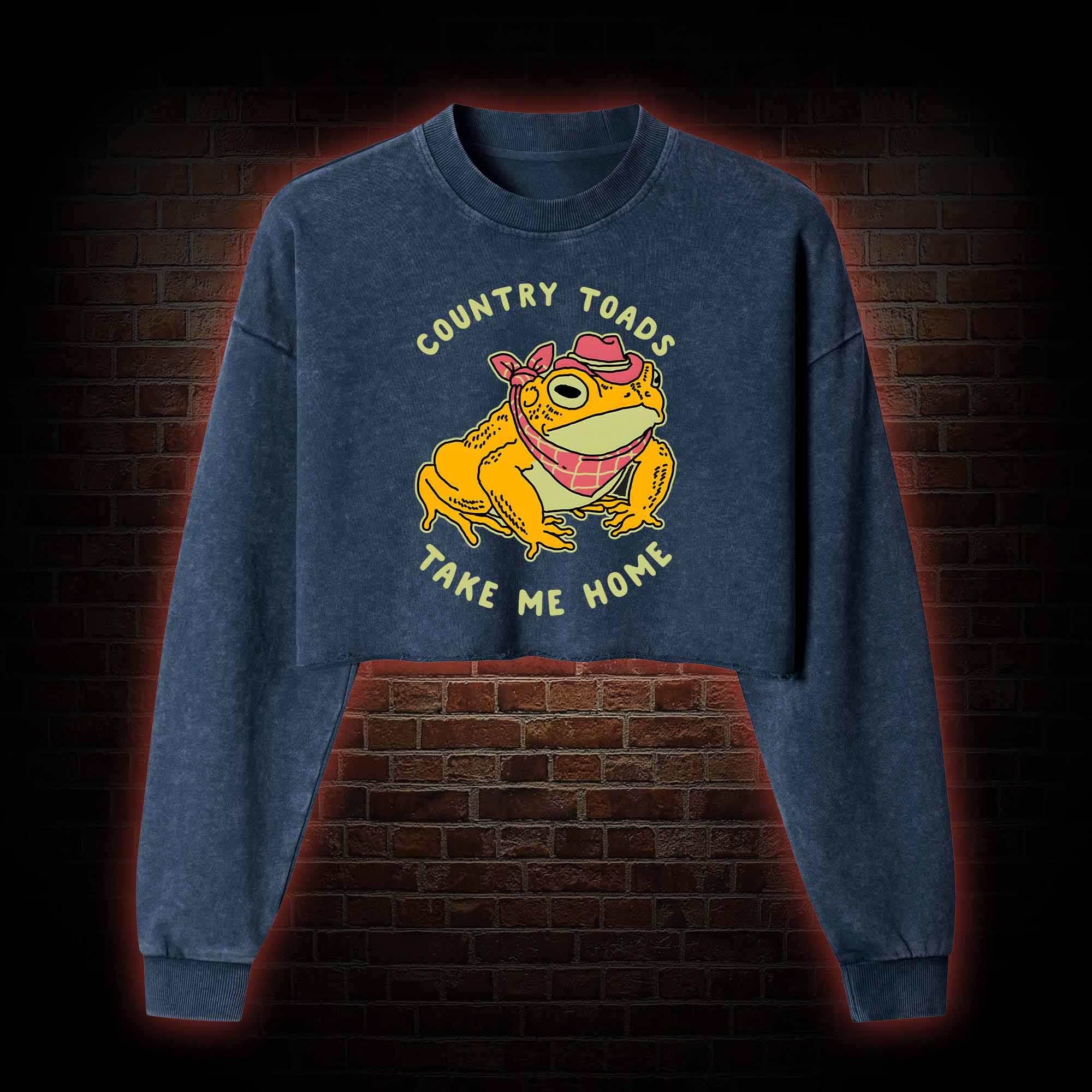 Country Toads Take Me Home Washed Cropped Sweatshirts