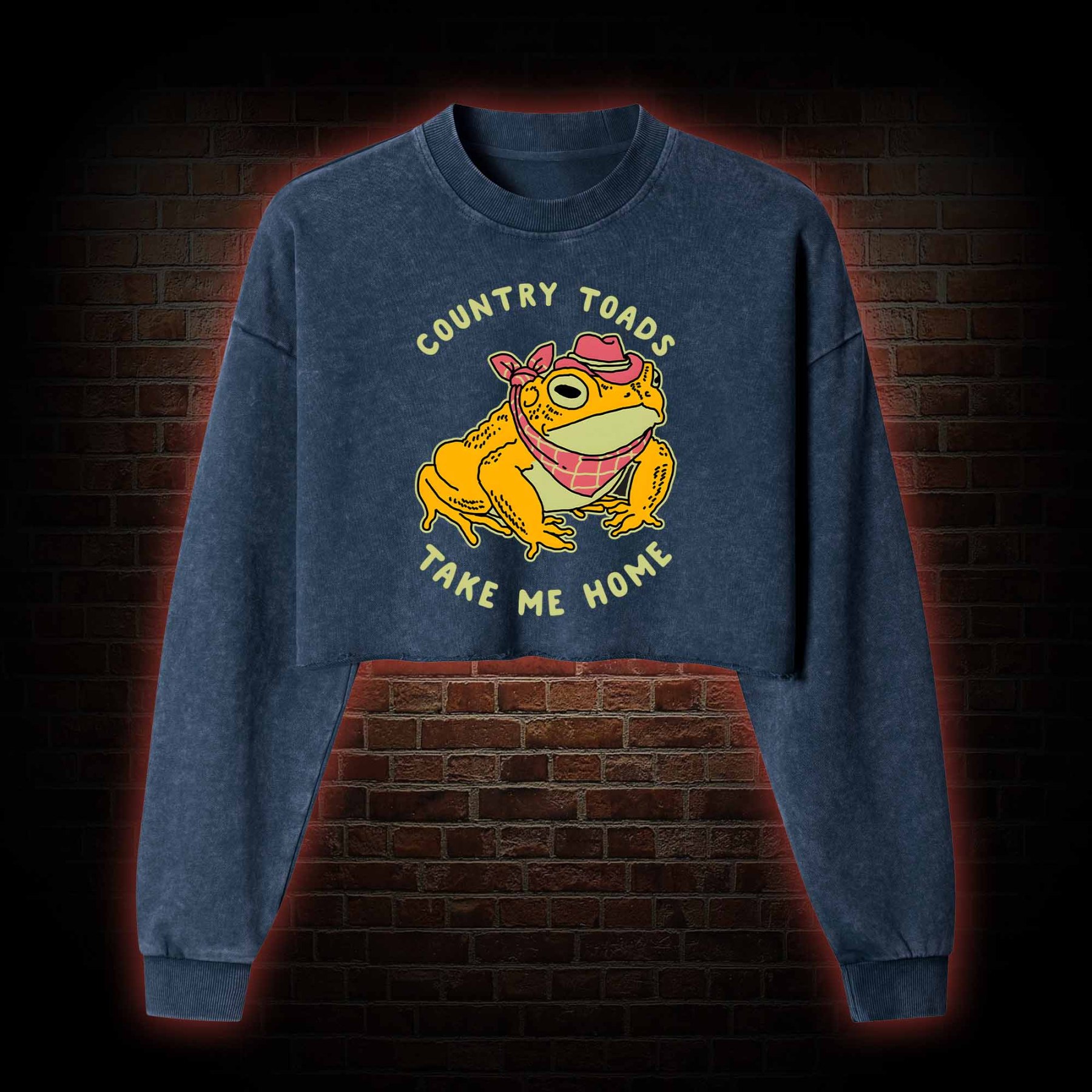 Country Toads Take Me Home Washed Cropped Sweatshirts