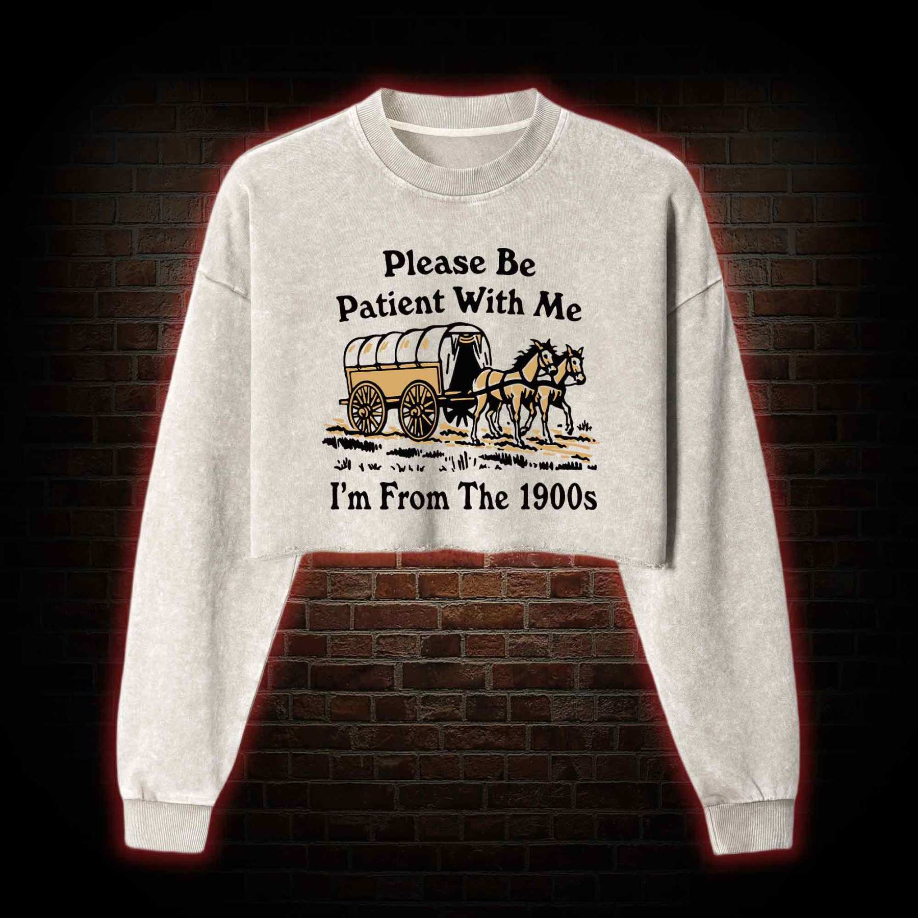 Please Be Patient With Me Washed Cropped Sweatshirts