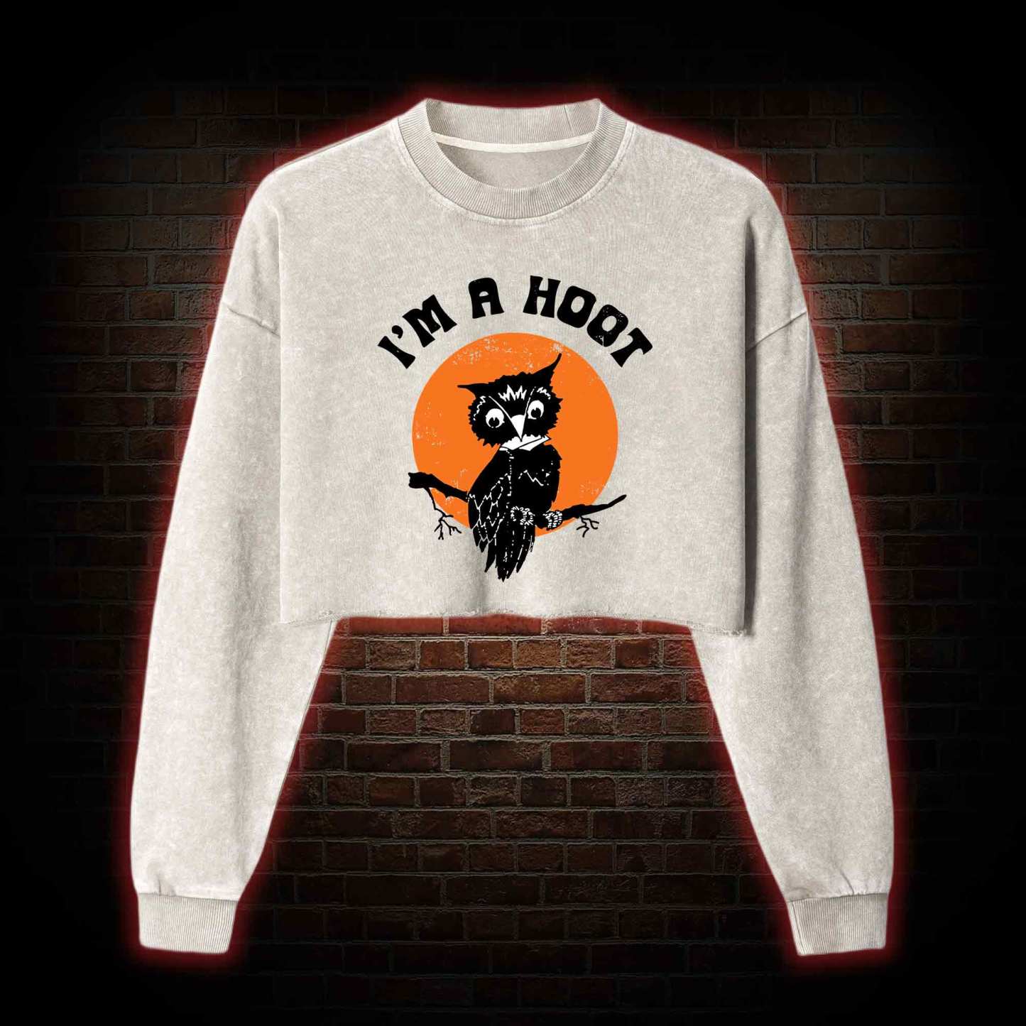 I'm A Hoot Washed Cropped Sweatshirts