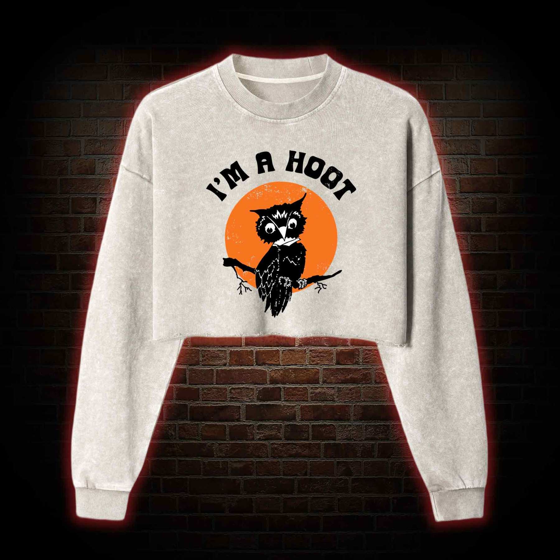I'm A Hoot Washed Cropped Sweatshirts