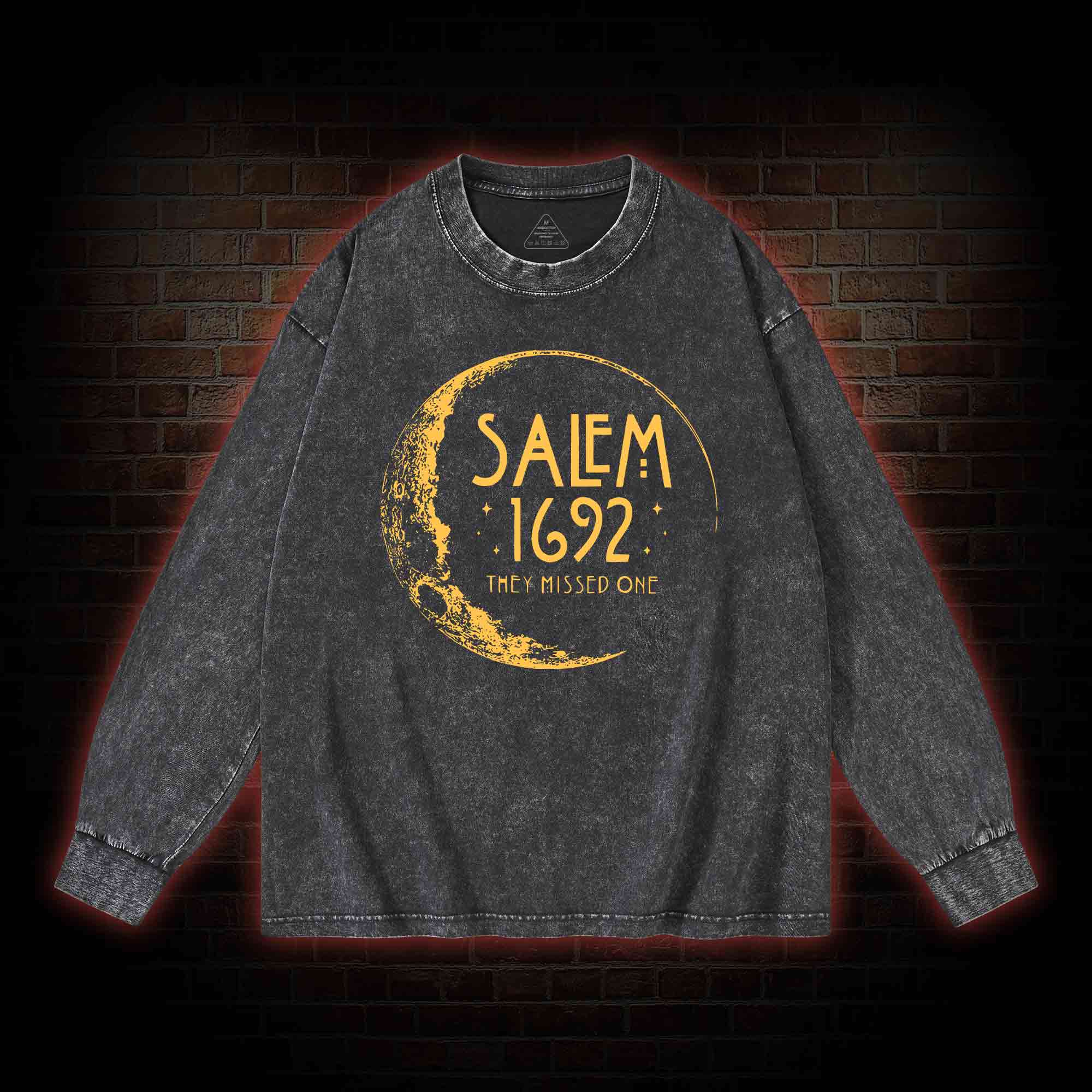 They Missed One Washed Long-Sleeve T-shirt