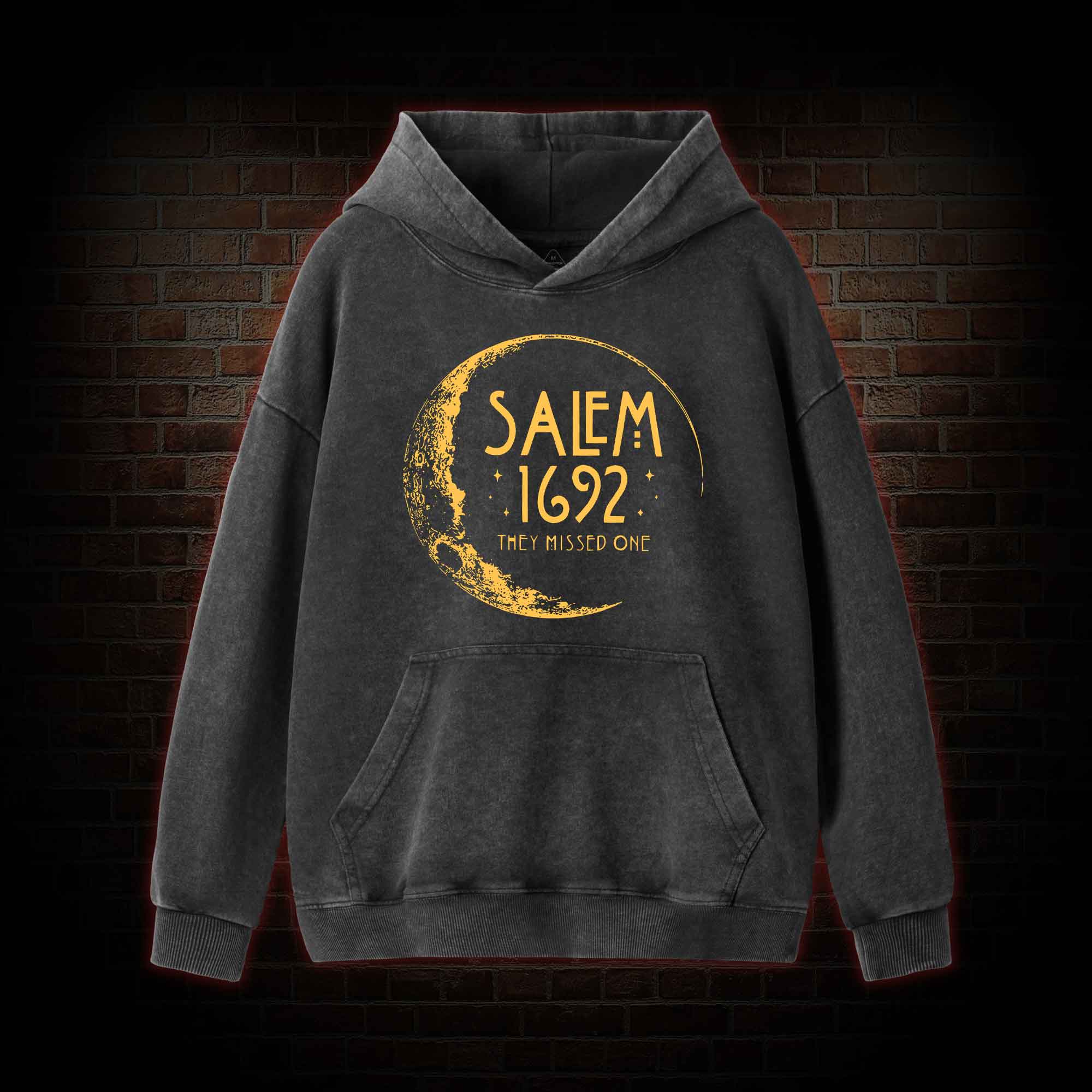 They Missed One Washed Hoodie