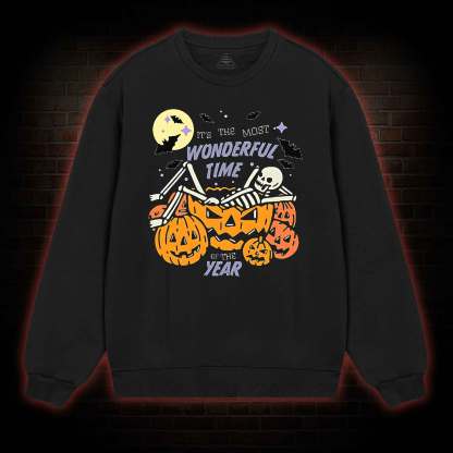 Most Wonderful Time Sweatshirt