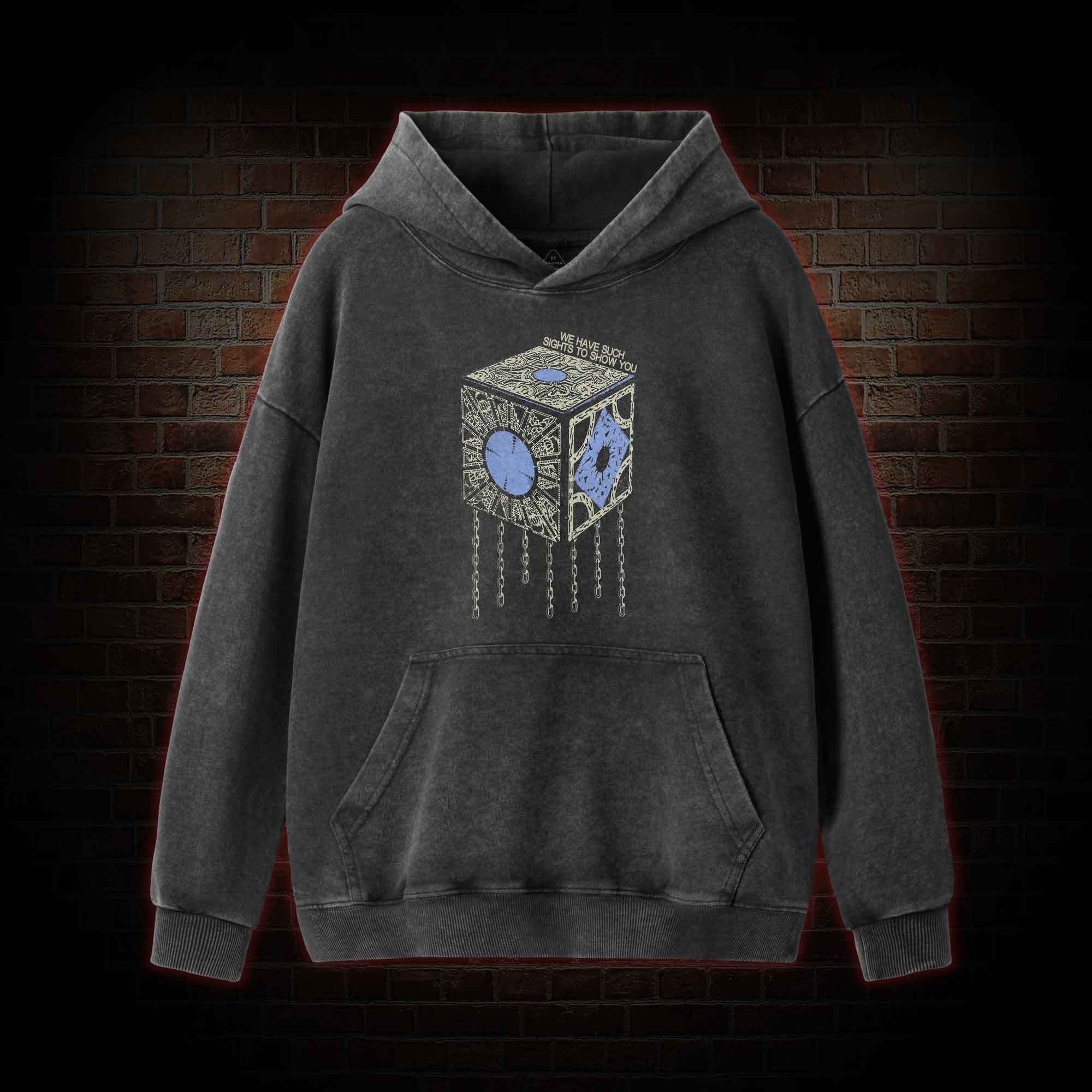 We have Such Sights to Show You Vintage Washed Hoodie