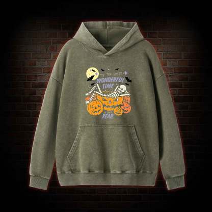 Most Wonderful Time Washed Hoodie