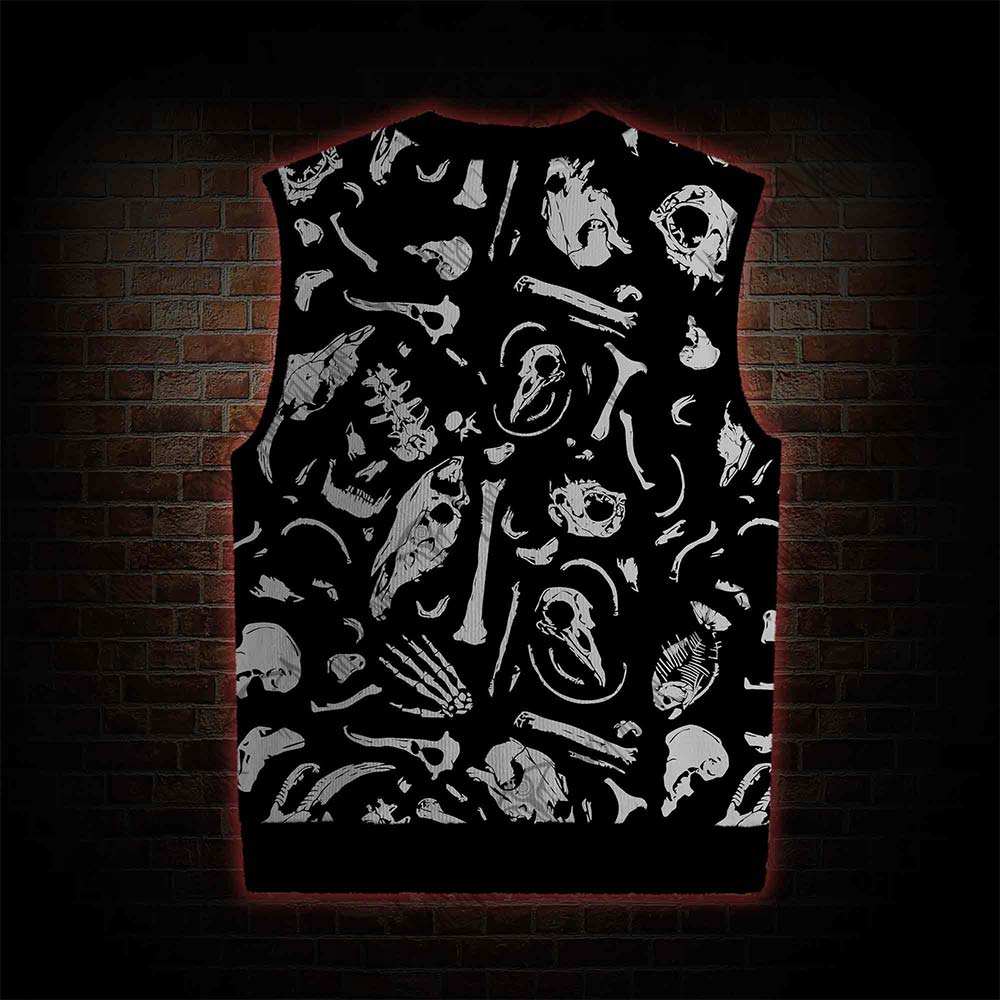Dinosaur Fossils Sweatershirt Vest