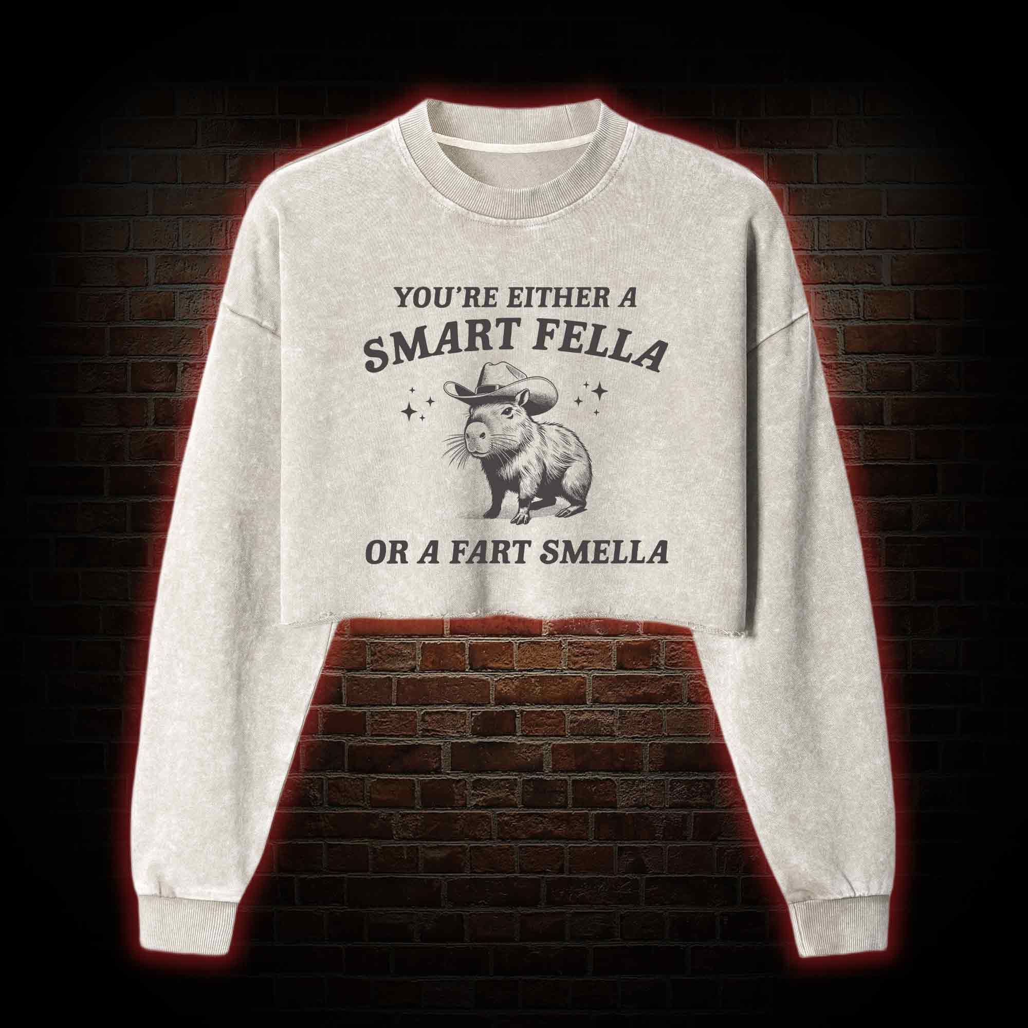 Smart Fella Or Fart Smella Washed Cropped Sweatshirts
