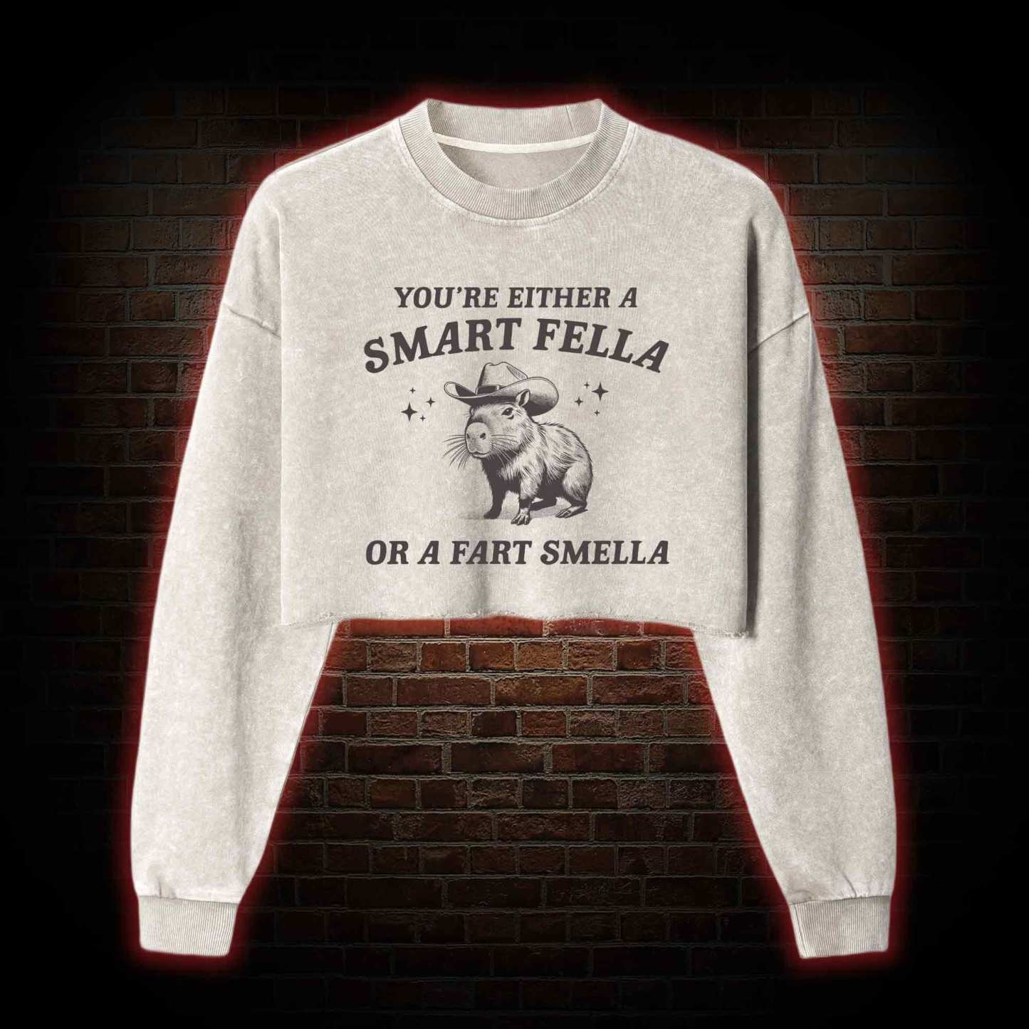 Smart Fella Or Fart Smella Washed Cropped Sweatshirts