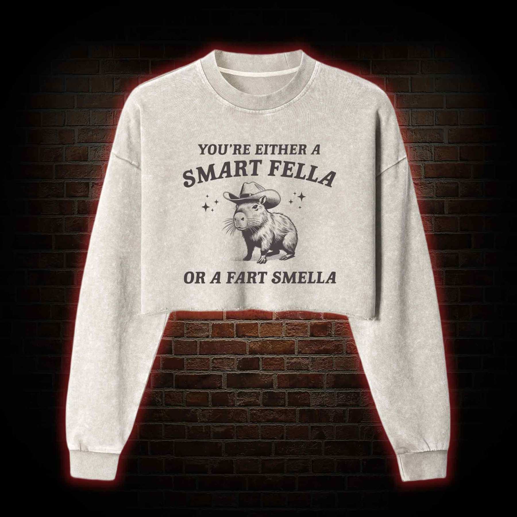 Smart Fella Or Fart Smella Washed Cropped Sweatshirts