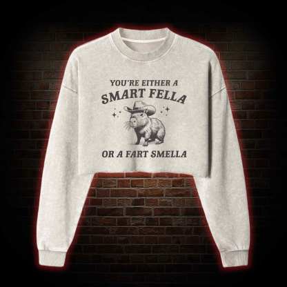 Smart Fella Or Fart Smella Washed Cropped Sweatshirts