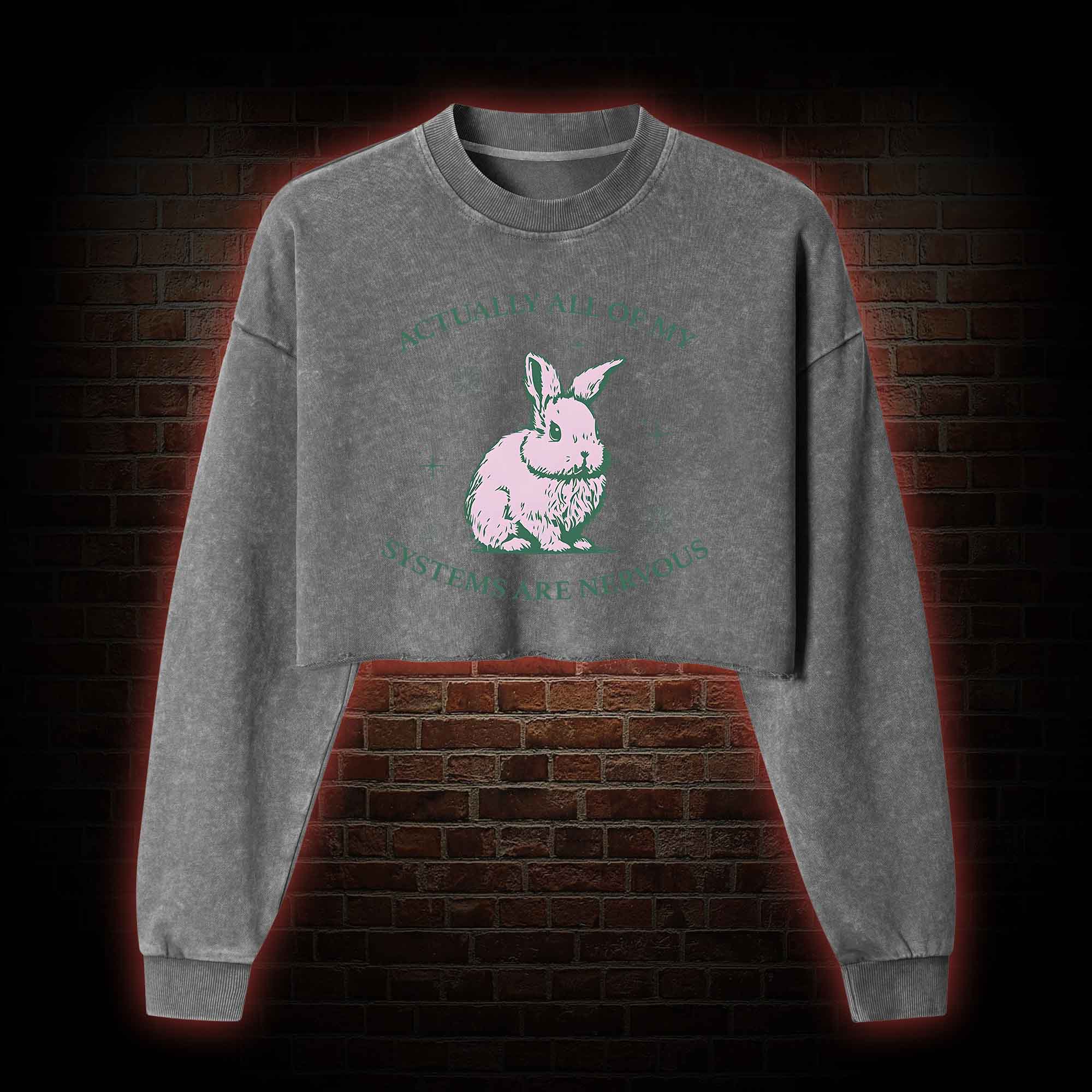 Actually All Of My Systems Are Nervous Washed Cropped Sweatshirts
