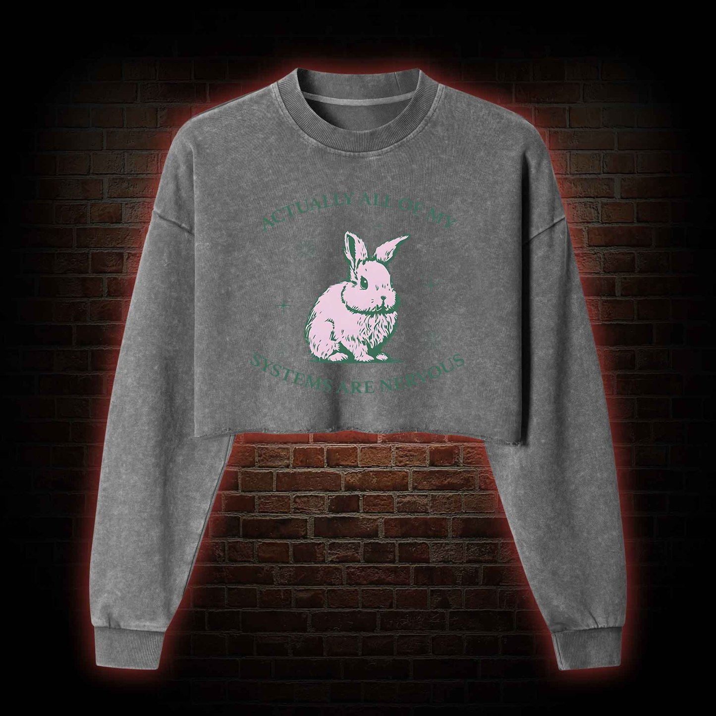 Actually All Of My Systems Are Nervous Washed Cropped Sweatshirts
