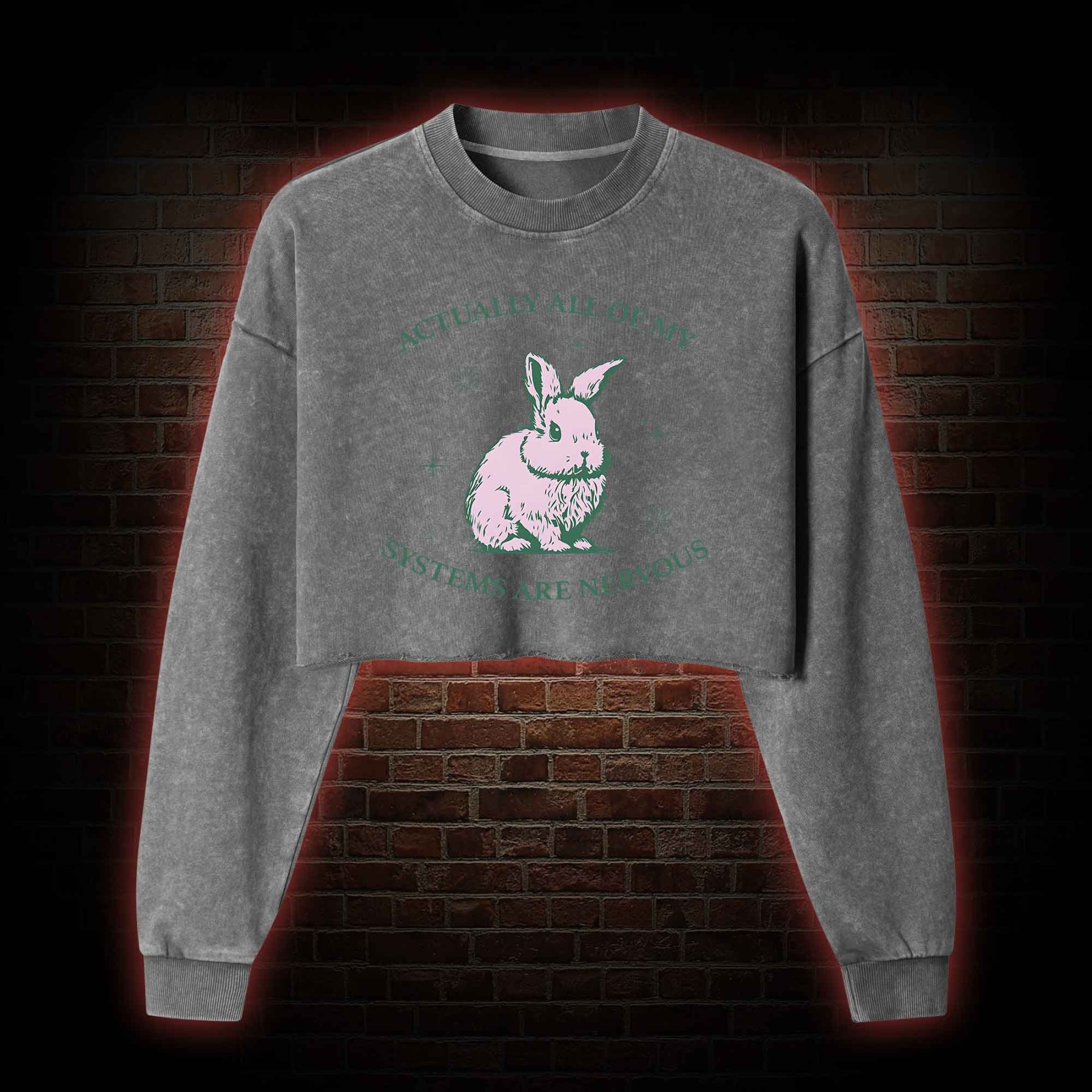 Actually All Of My Systems Are Nervous Washed Cropped Sweatshirts
