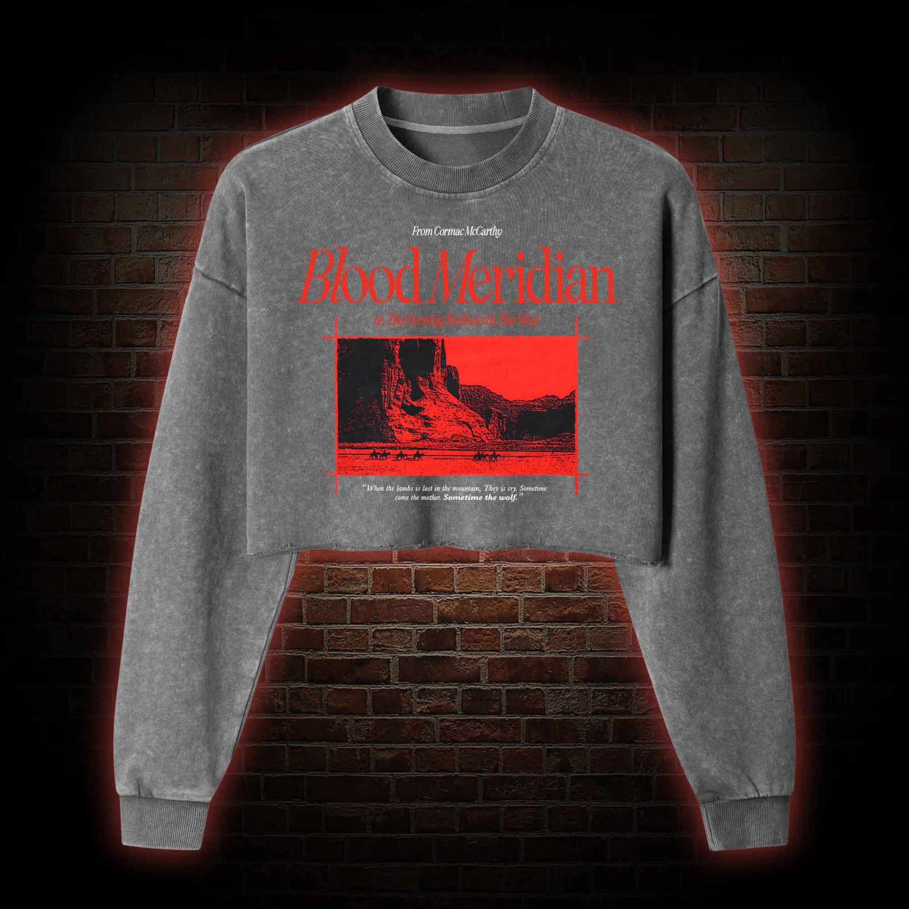Blood Meridian Washed Cropped Sweatshirts