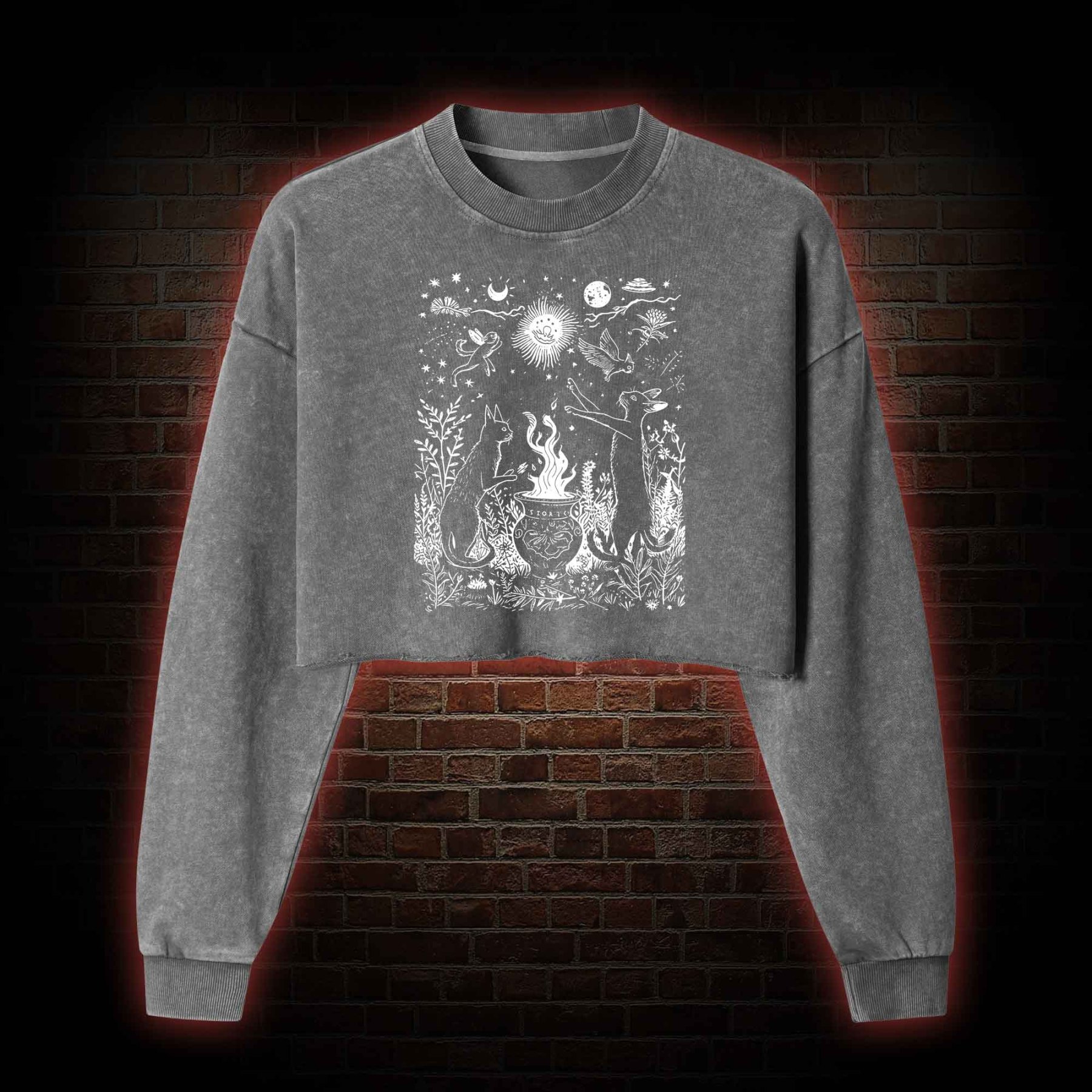 Celestial Cat Washed Cropped Sweatshirts