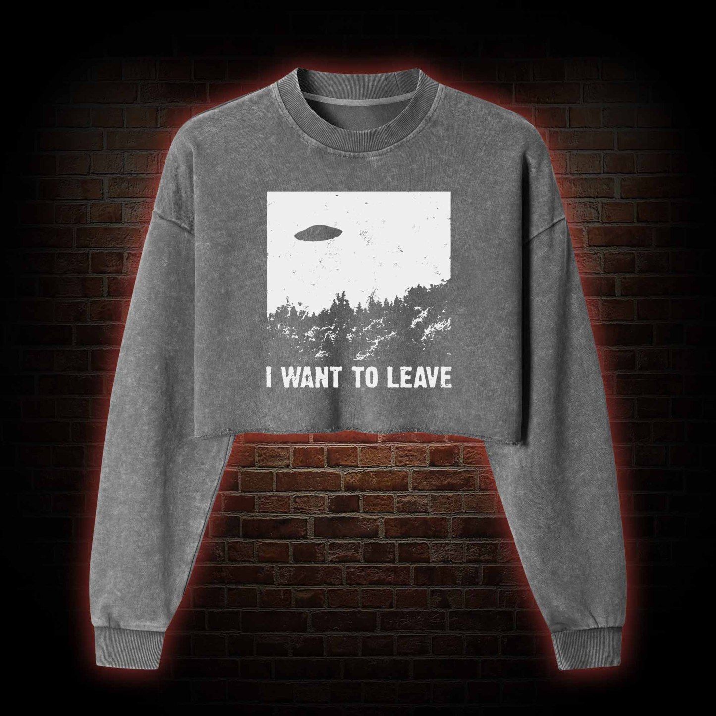 I Want To Leave Washed Cropped Sweatshirts