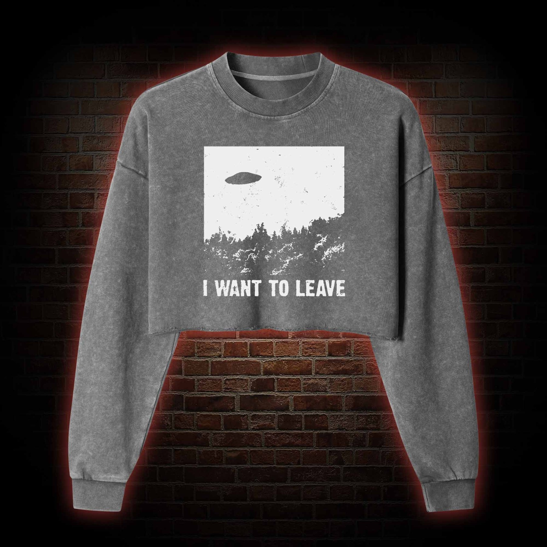 I Want To Leave Washed Cropped Sweatshirts