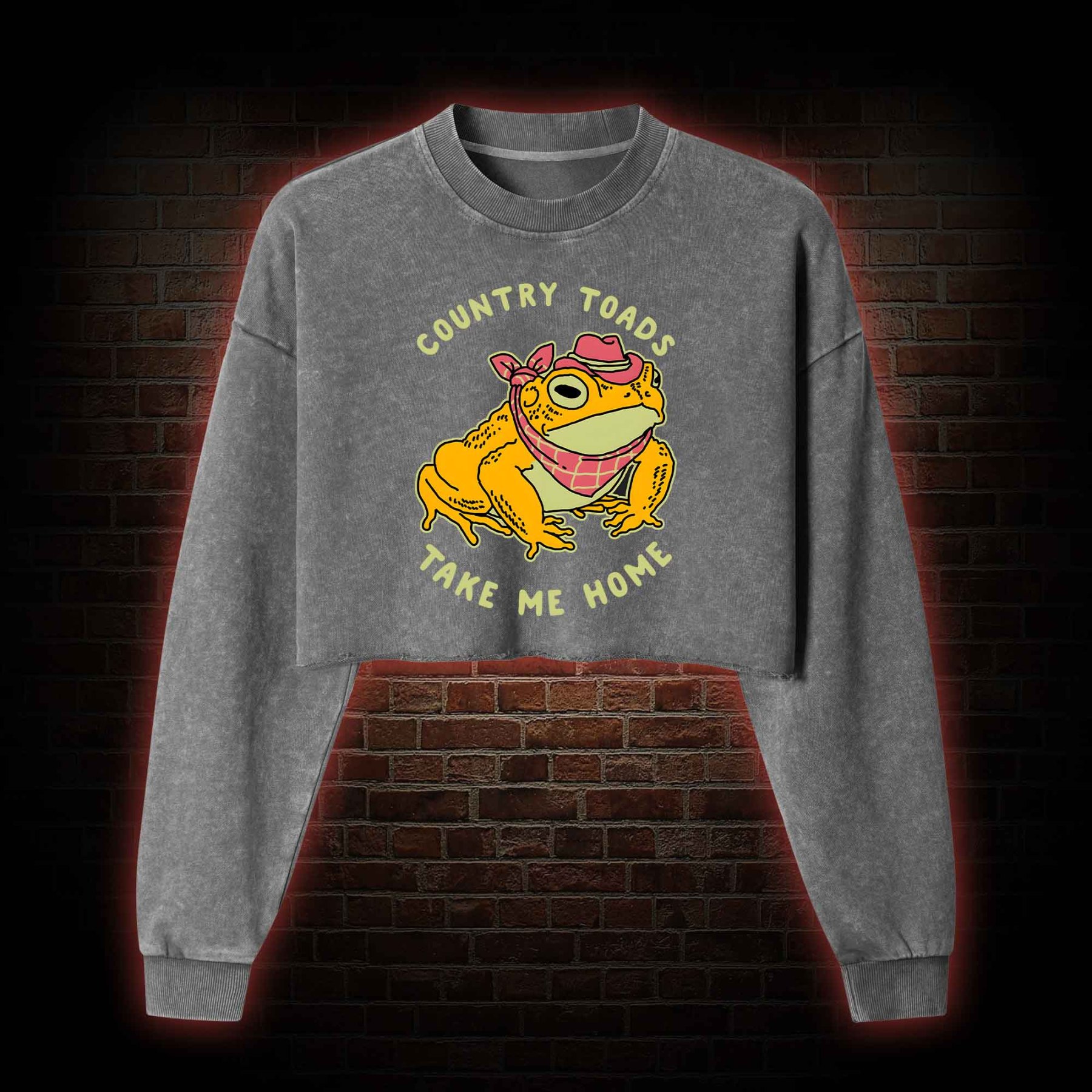 Country Toads Take Me Home Washed Cropped Sweatshirts