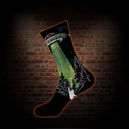 Bigfoot and UFO Socks